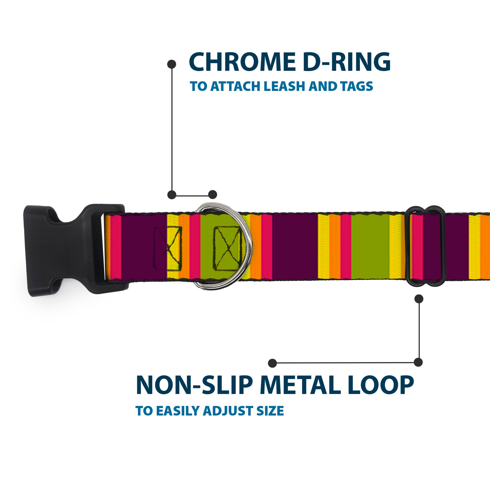 Plastic Clip Collar - Summer Essentials Color Block 7 Plastic Clip Collars Buckle-Down