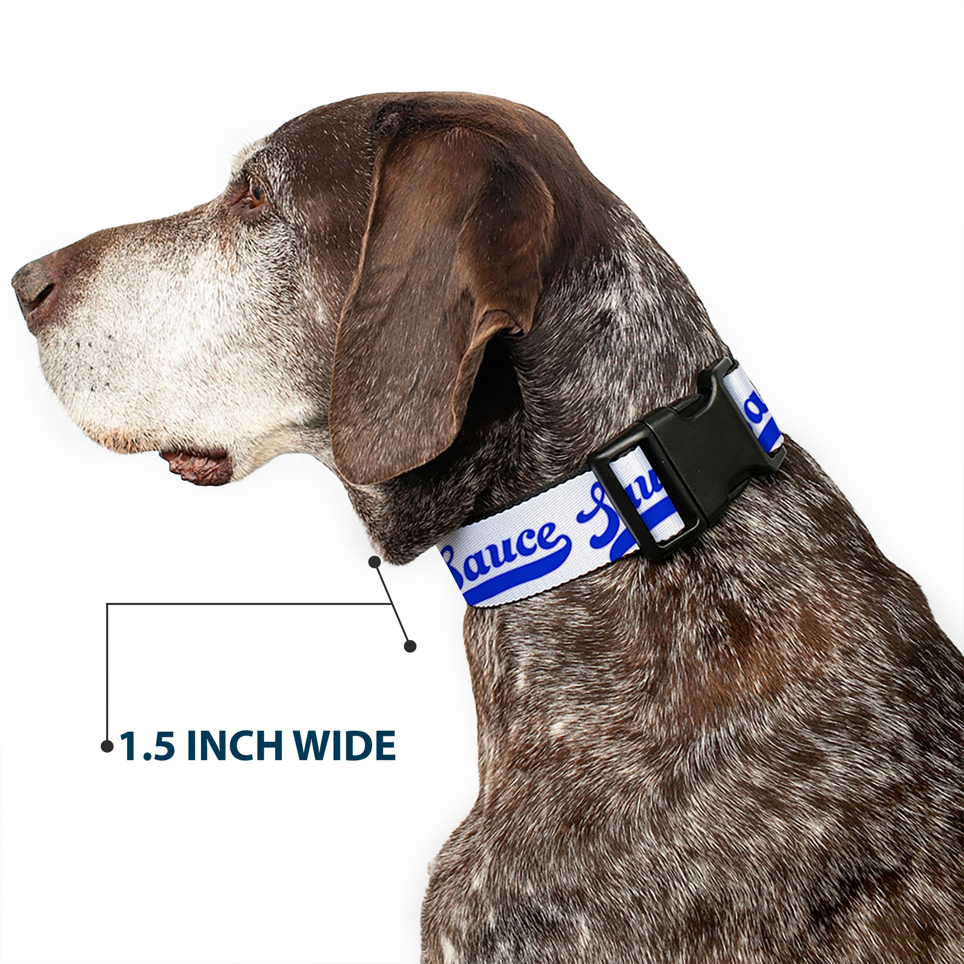 Plastic Clip Collar - SAUCE Baseball Script White/Blue Plastic Clip Collars Buckle-Down