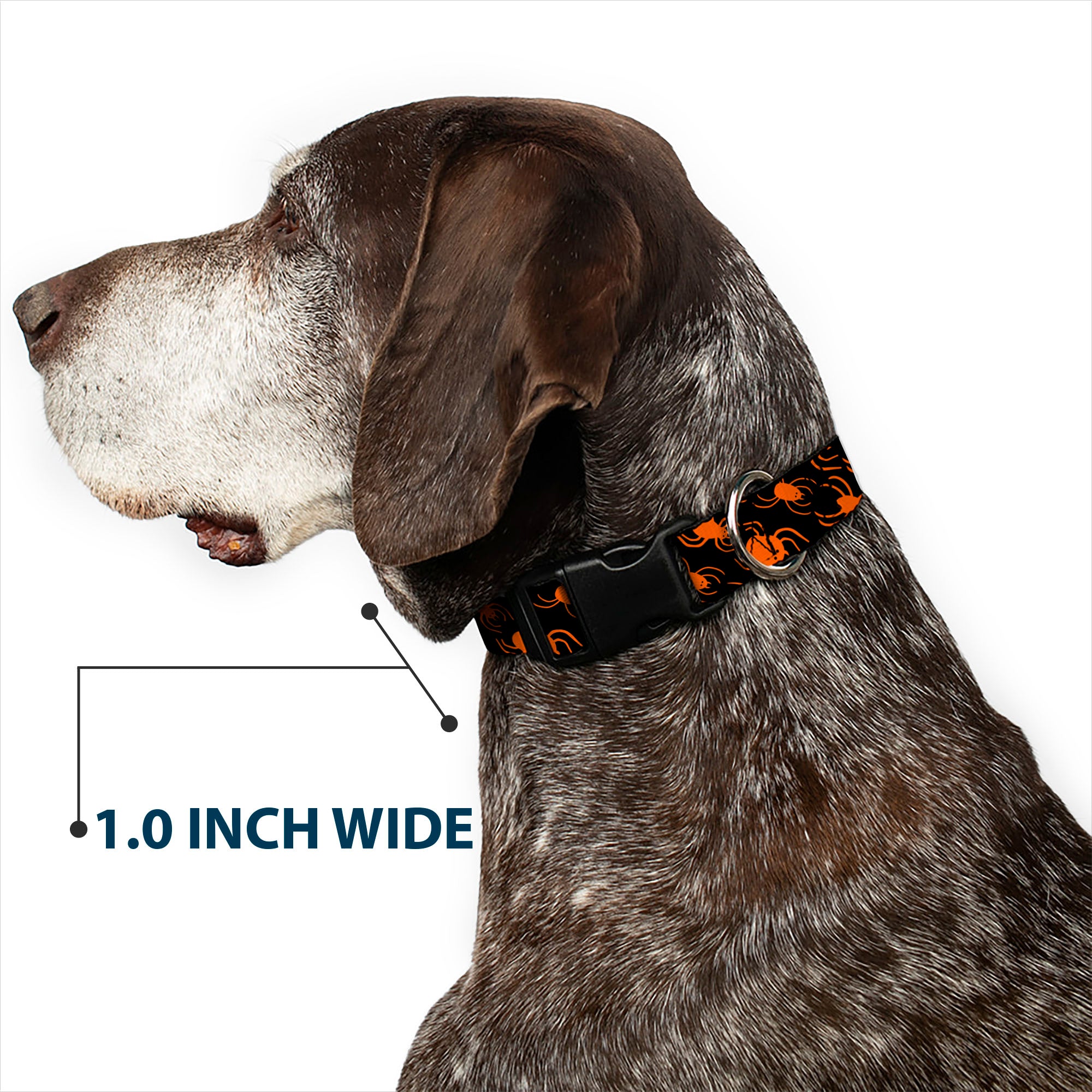 Plastic Clip Collar - Spider Silhouettes Black/Orange Plastic Clip Collars Buckle-Down