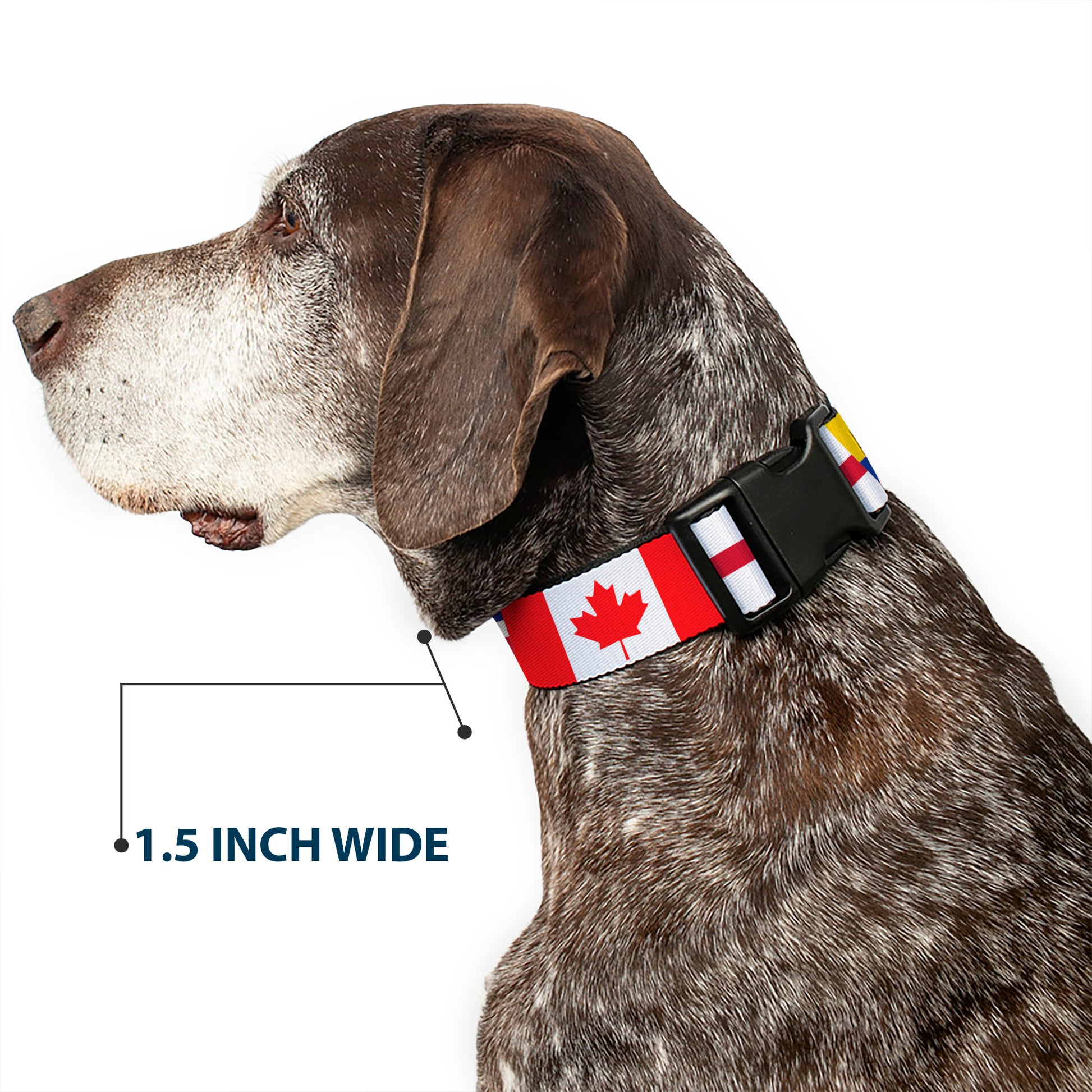 Plastic Clip Collar - Soccer Fan World Cup Team Country Flags Plastic Clip Collars Buckle-Down