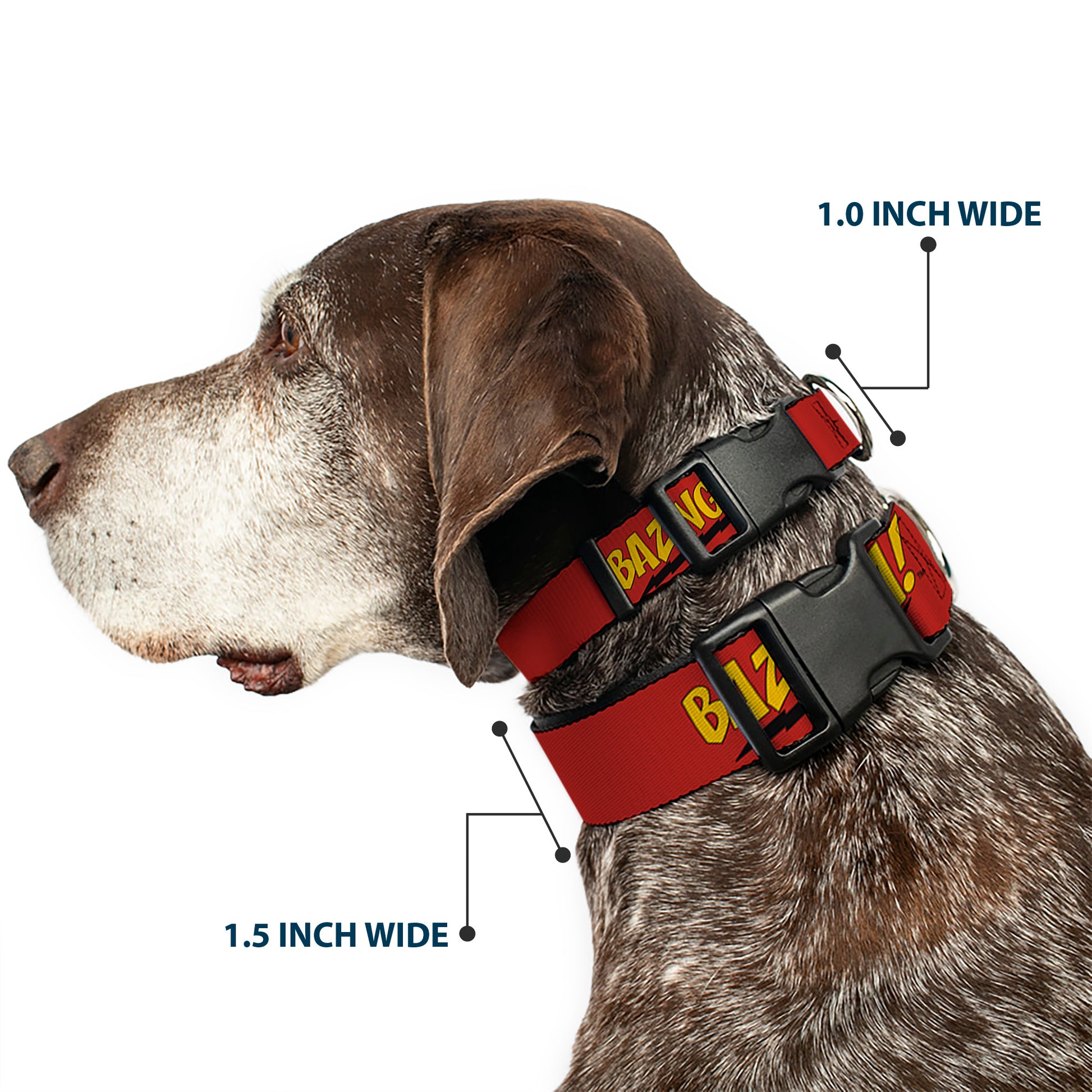 Plastic Clip Collar - BAZINGA! Red/Gold/Black Plastic Clip Collars The Big Bang Theory