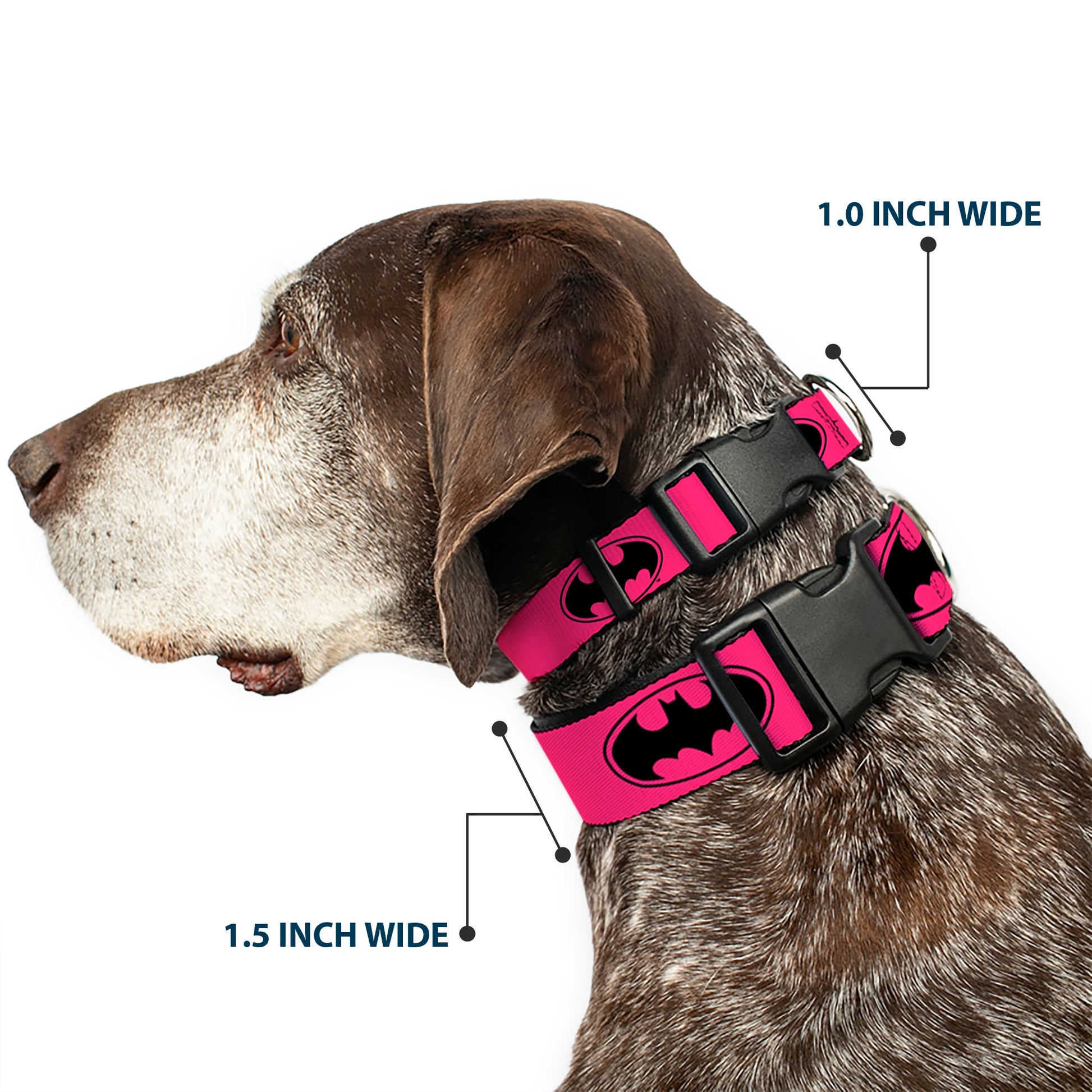Plastic Clip Collar - Bat Signal-3 Fuchsia/Black/Fuchsia Plastic Clip Collars DC Comics