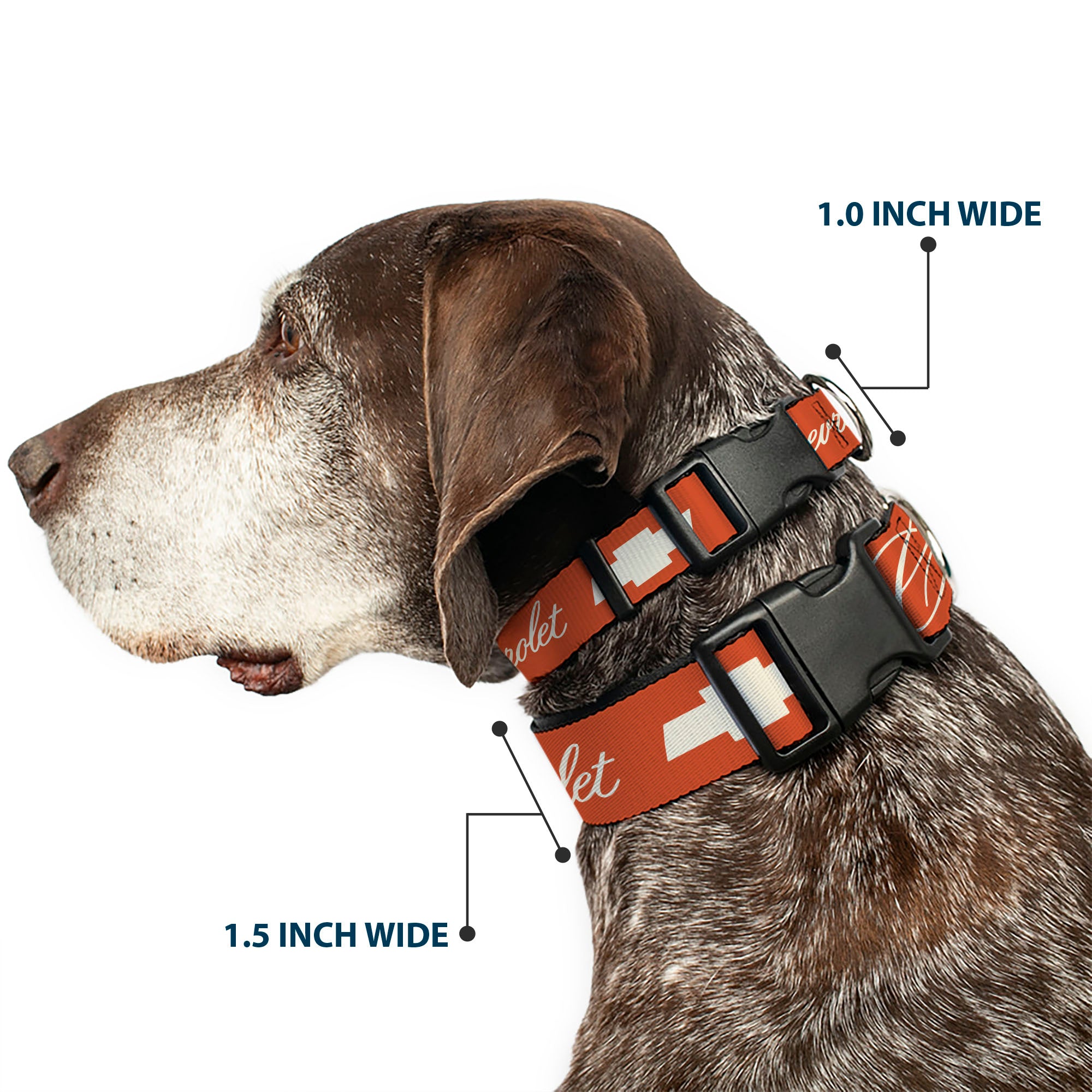 Plastic Clip Collar - CHEVROLET Script and Bowtie Orange/White Plastic Clip Collars Chevrolet