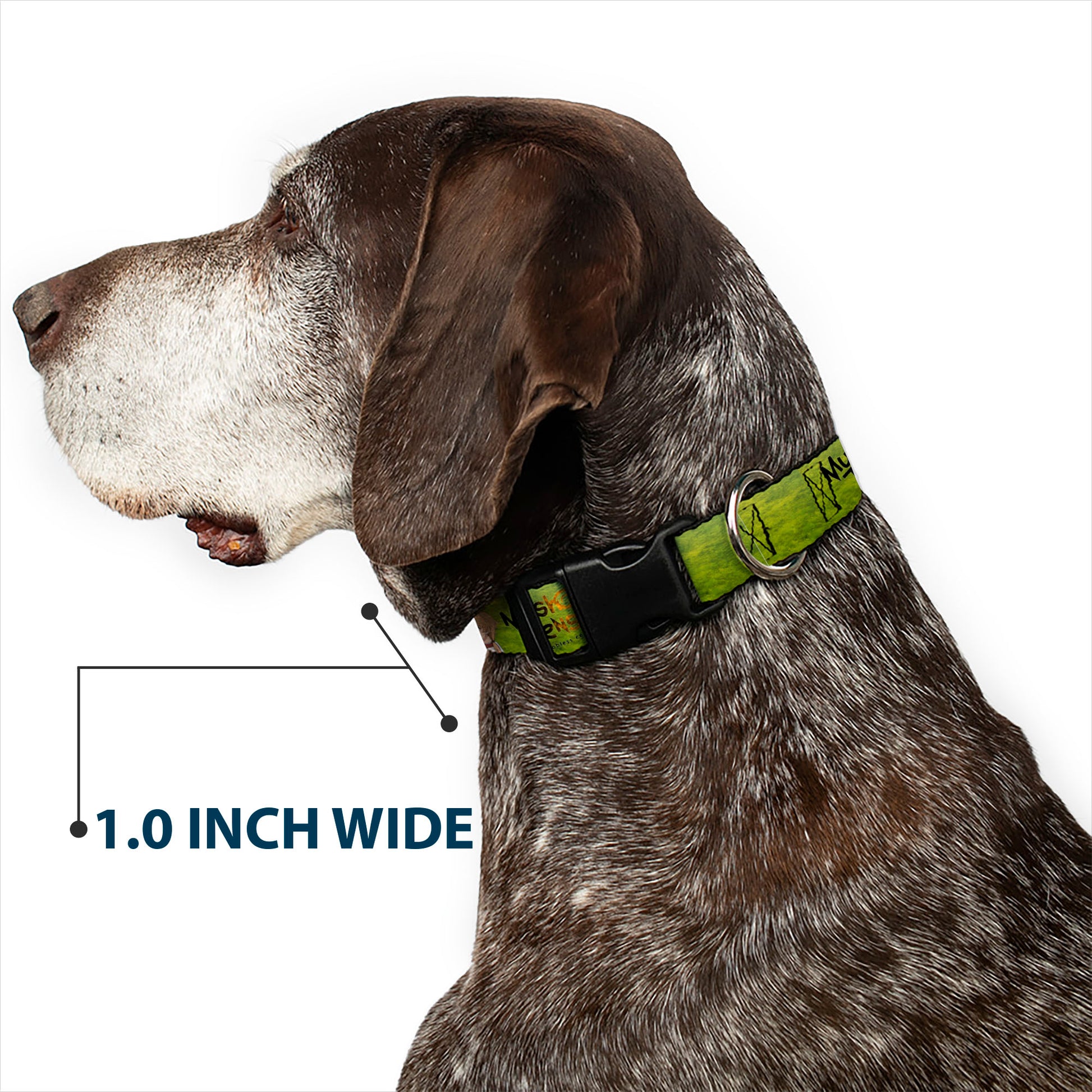 Plastic Clip Collar - MUSHOKU TENSEI Rudeus Greyrat Pose and Title Logo Green Plastic Clip Collars Mushoku Tensei Jobless Reincarnation