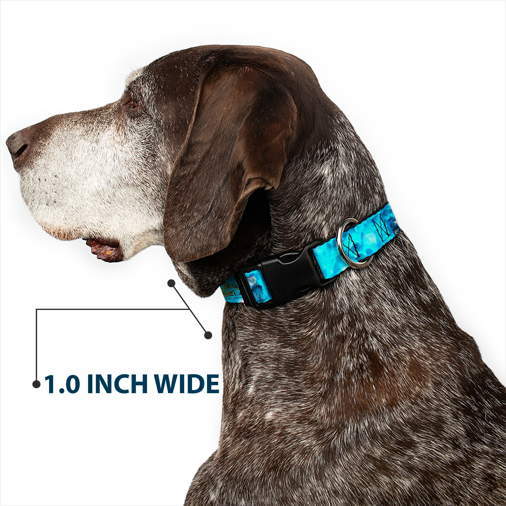 Plastic Clip Collar - MUSHOKU TENSEI Rudeus and Roxy Pose and Title Logo Blues Plastic Clip Collars Mushoku Tensei Jobless Reincarnation