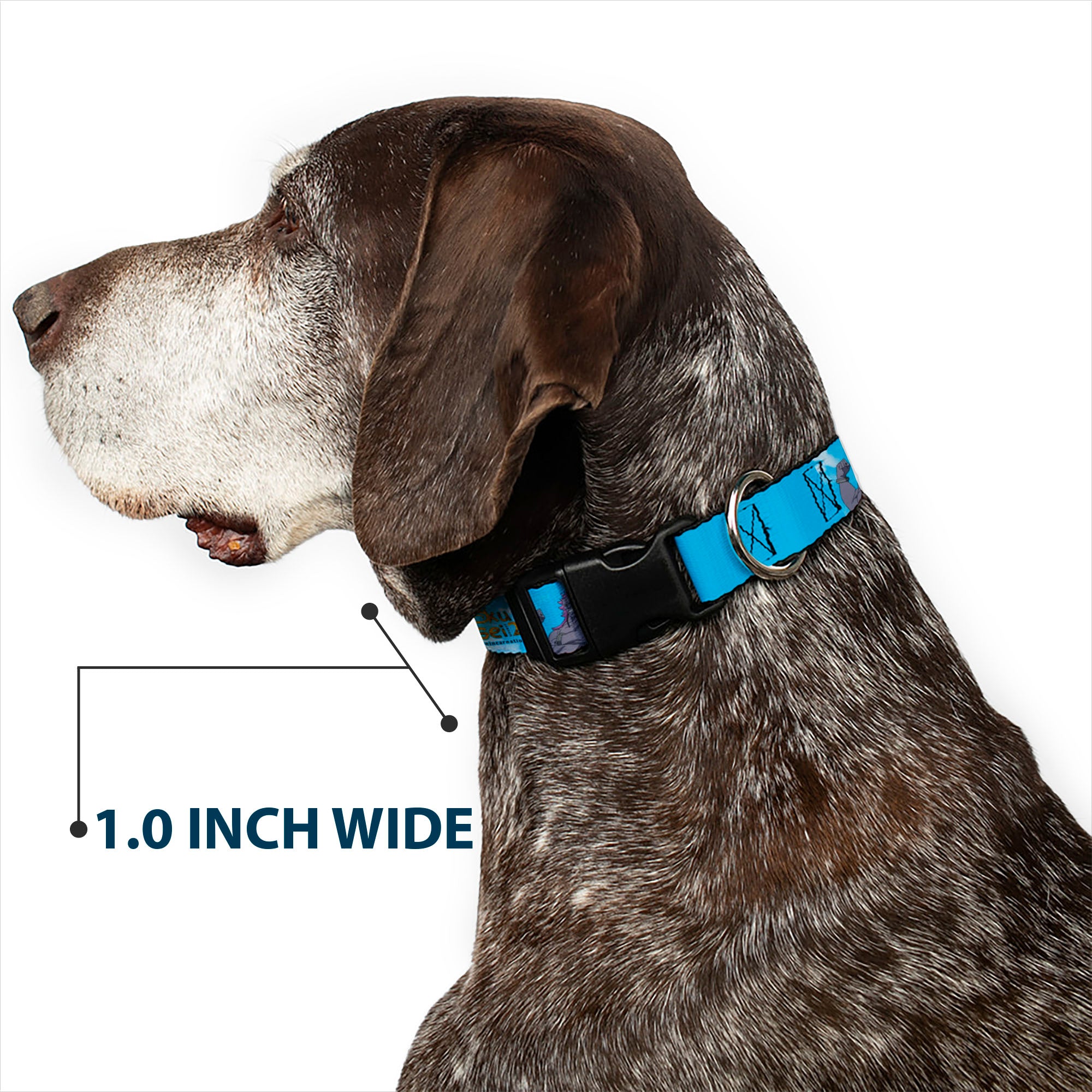 Plastic Clip Collar - MUSHOKU TENSEI Badigadi Flex Pose and Title Logo Blue Plastic Clip Collars Mushoku Tensei Jobless Reincarnation