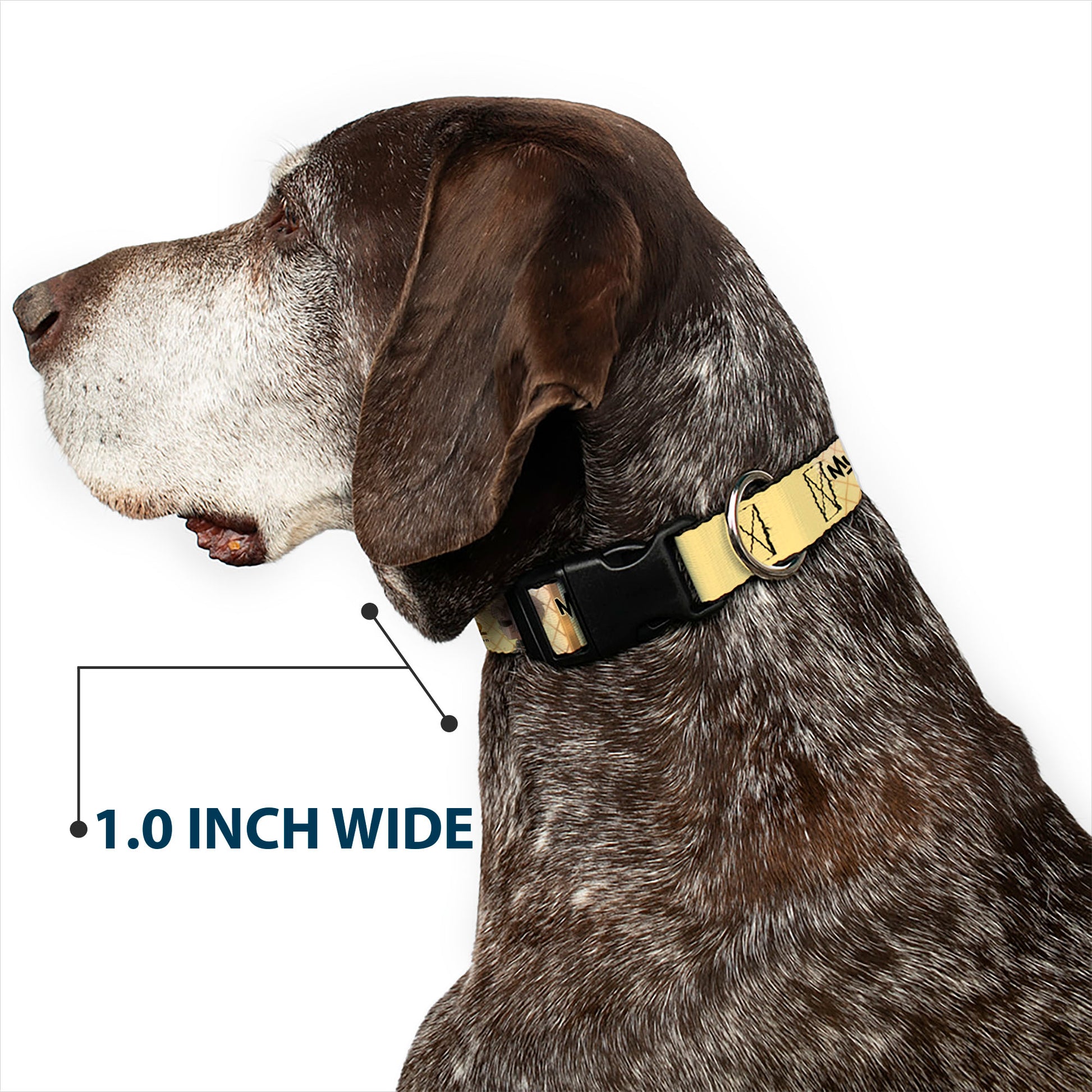 Plastic Clip Collar - MUSHOKU TENSEI Guardian Fitz Pose and Title Logo Tan Plastic Clip Collars Mushoku Tensei Jobless Reincarnation