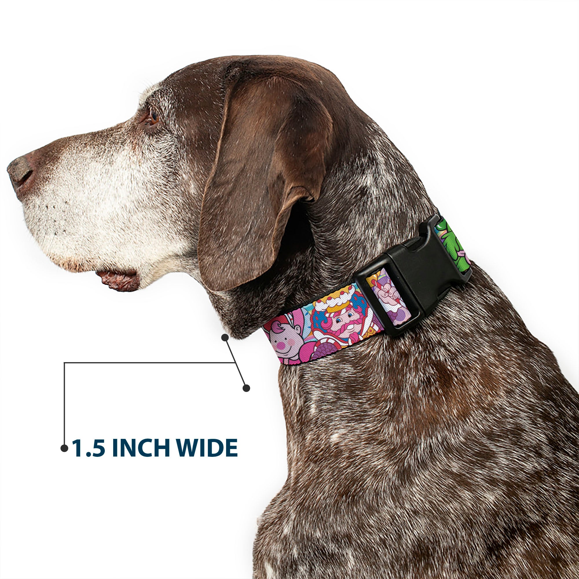 Plastic Clip Collar - Candy Land Character Lineup Stripe Multi Color