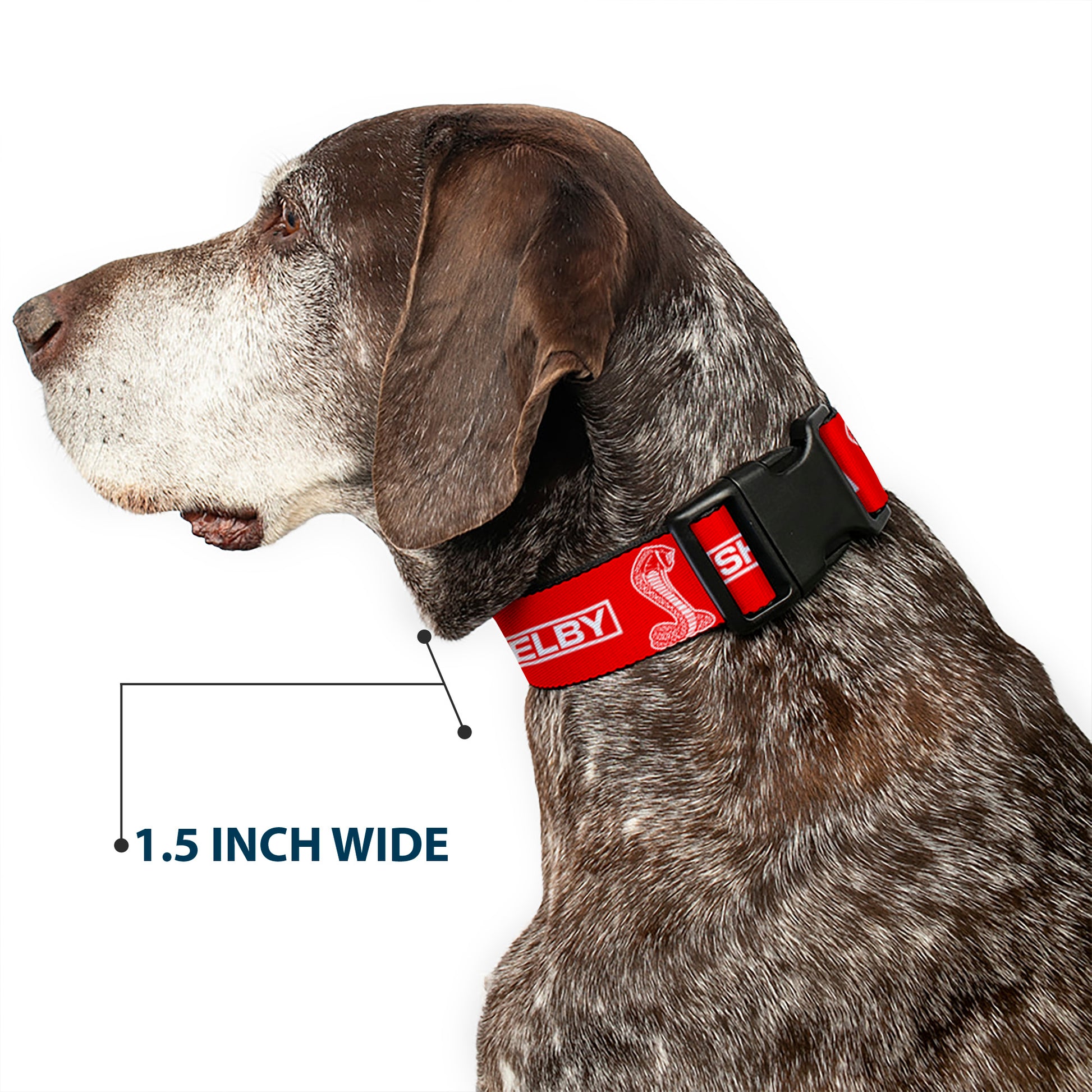 Plastic Clip Collar - SHELBY Box Logo and Super Snake Cobra Red/White Plastic Clip Collars Shelby