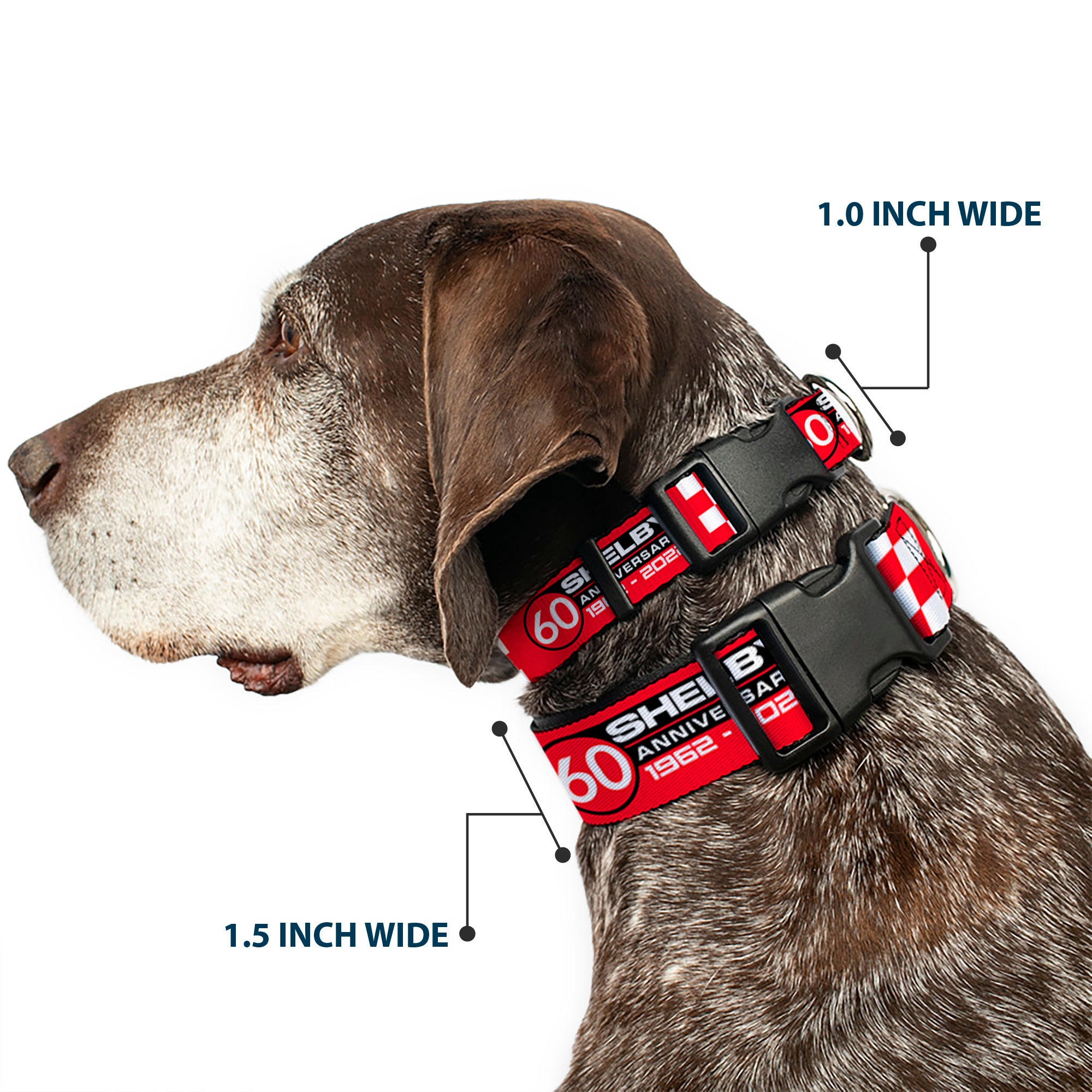 Plastic Clip Collar - SHELBY 60th ANNIVERSARY Checker Red/Black/White Plastic Clip Collars Shelby