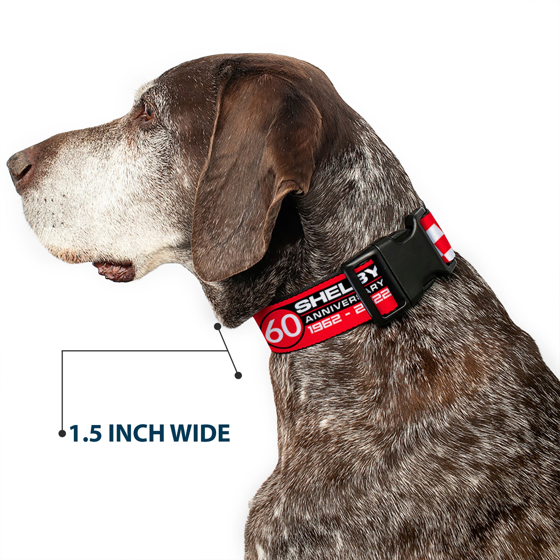 Plastic Clip Collar - SHELBY 60th ANNIVERSARY Checker Red/Black/White Plastic Clip Collars Shelby