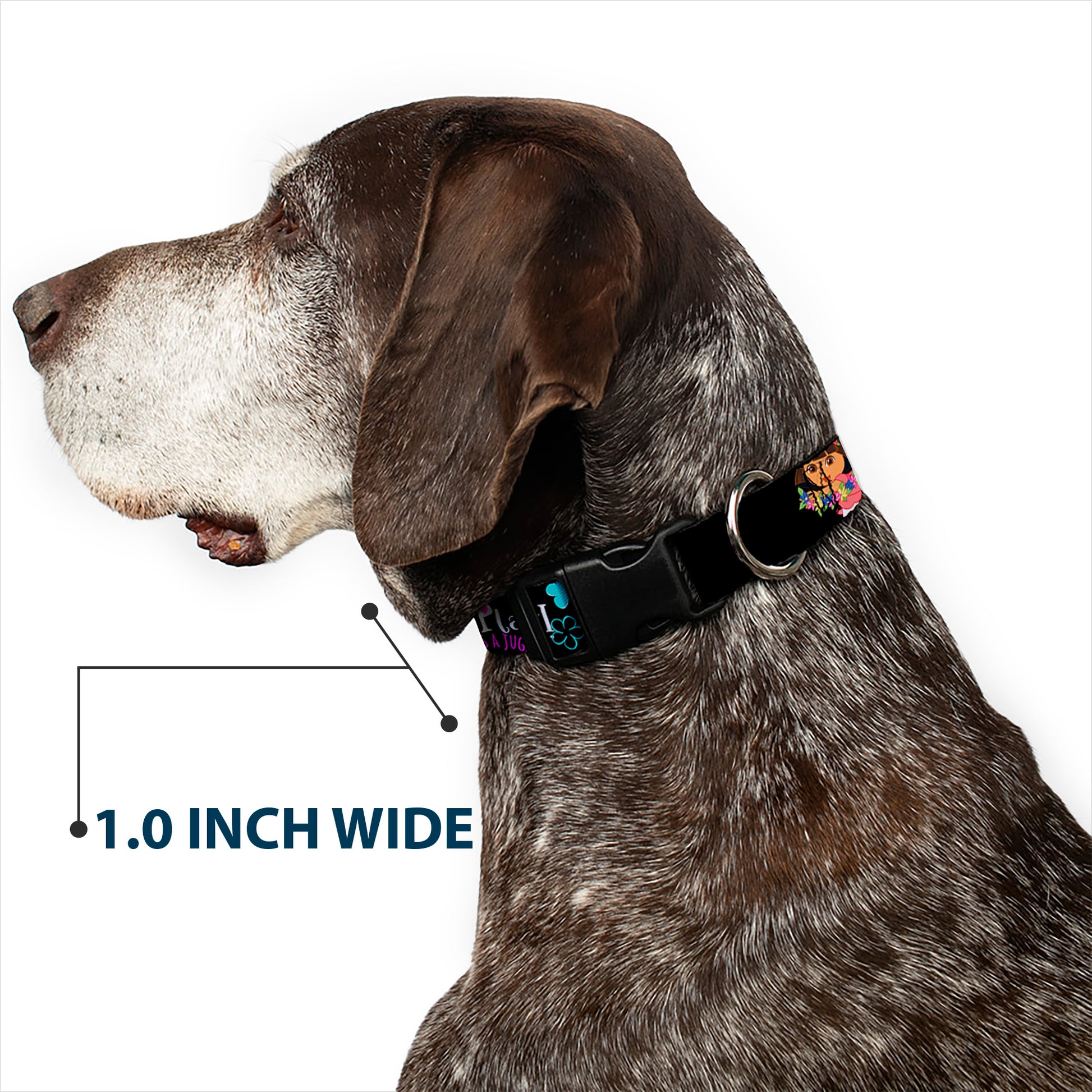 Plastic Clip Collar - Dora & Boots Pose/Floral LET'S PLAY!/VAMOS A JUGAR! Black/White/Multi Color Plastic Clip Collars Dora the Explorer