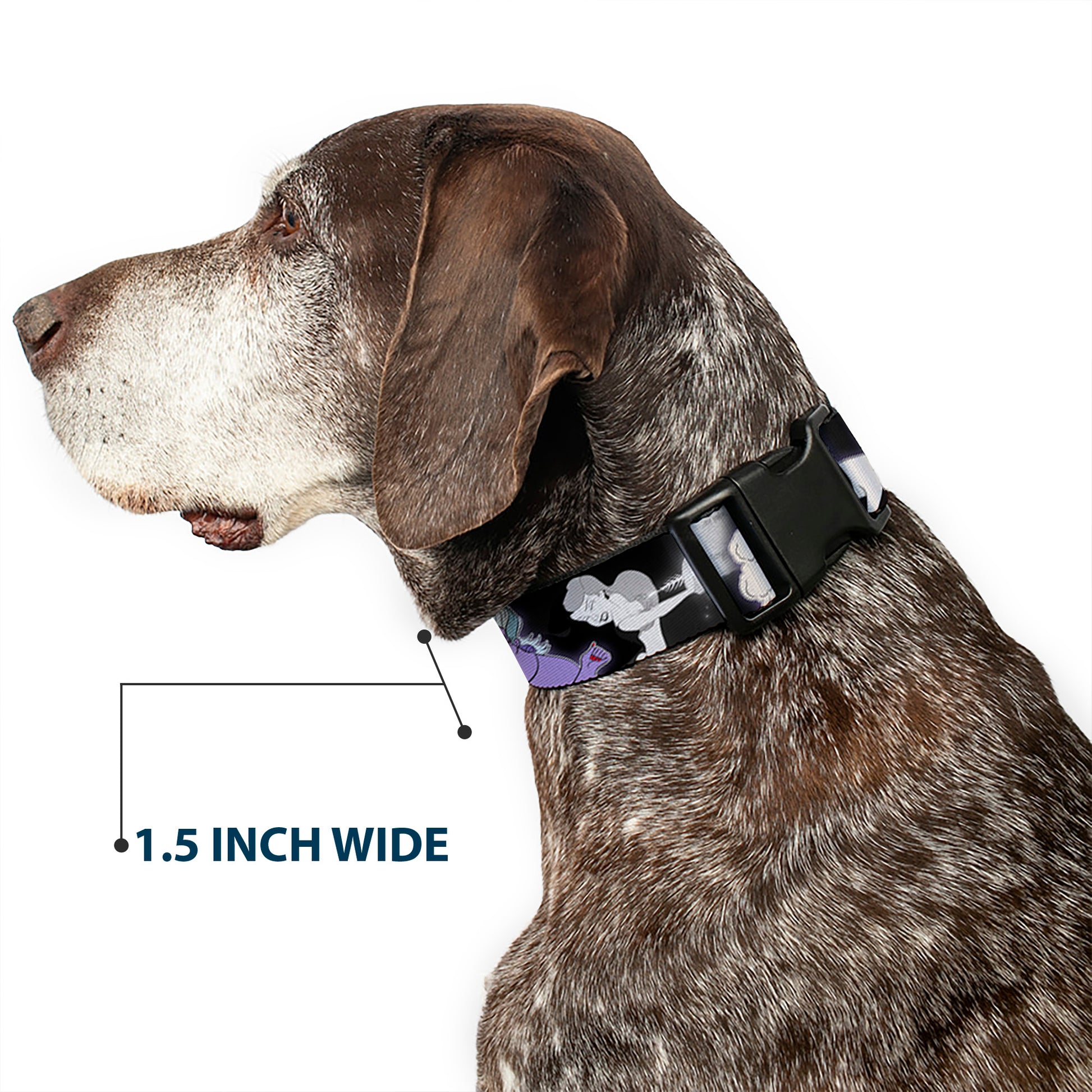 Plastic Clip Collar - Villains Hexing Princess' Scenes Color/Black/White Plastic Clip Collars Disney