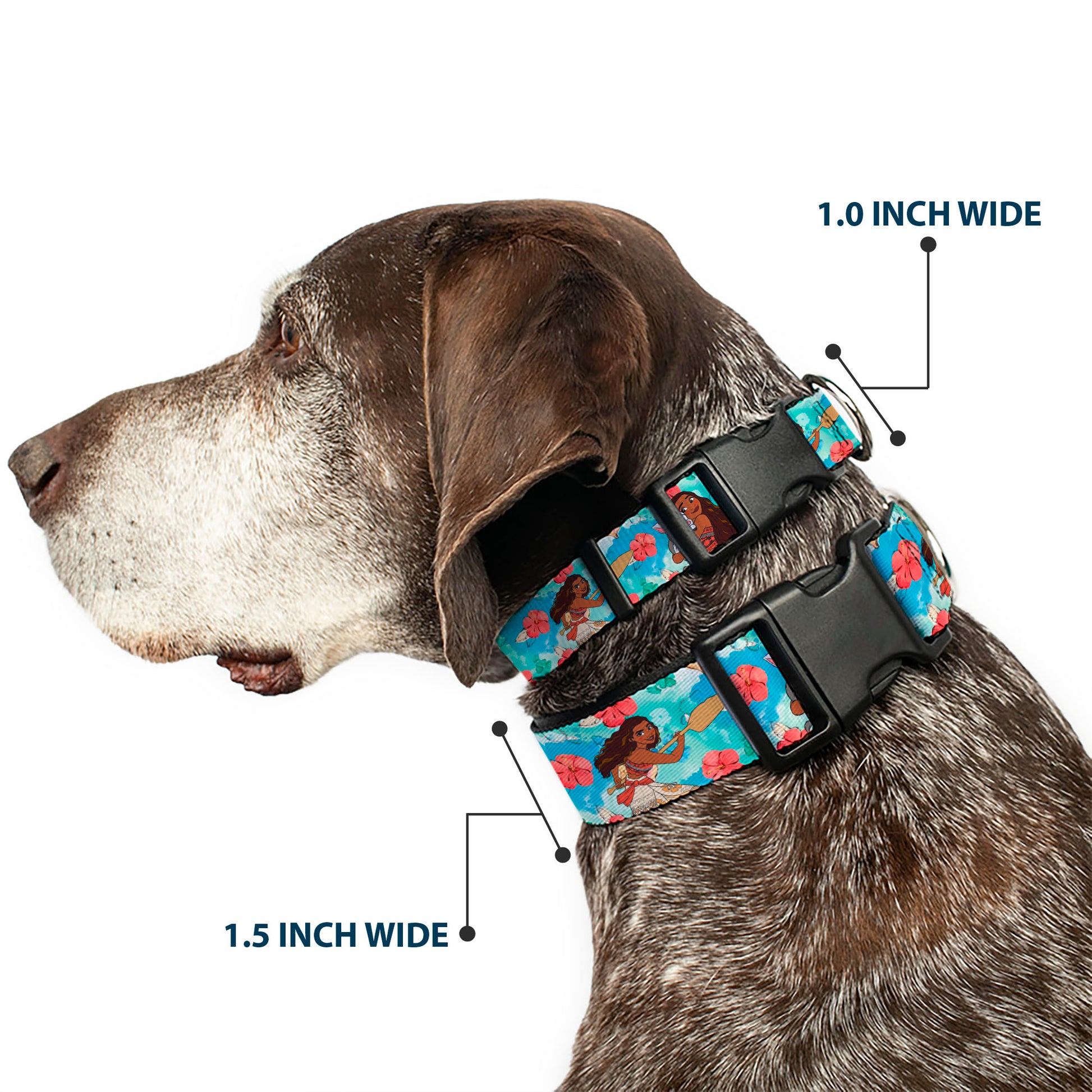 Plastic Clip Collar - Moana Poses and Pua Flowers Blues Plastic Clip Collars Disney