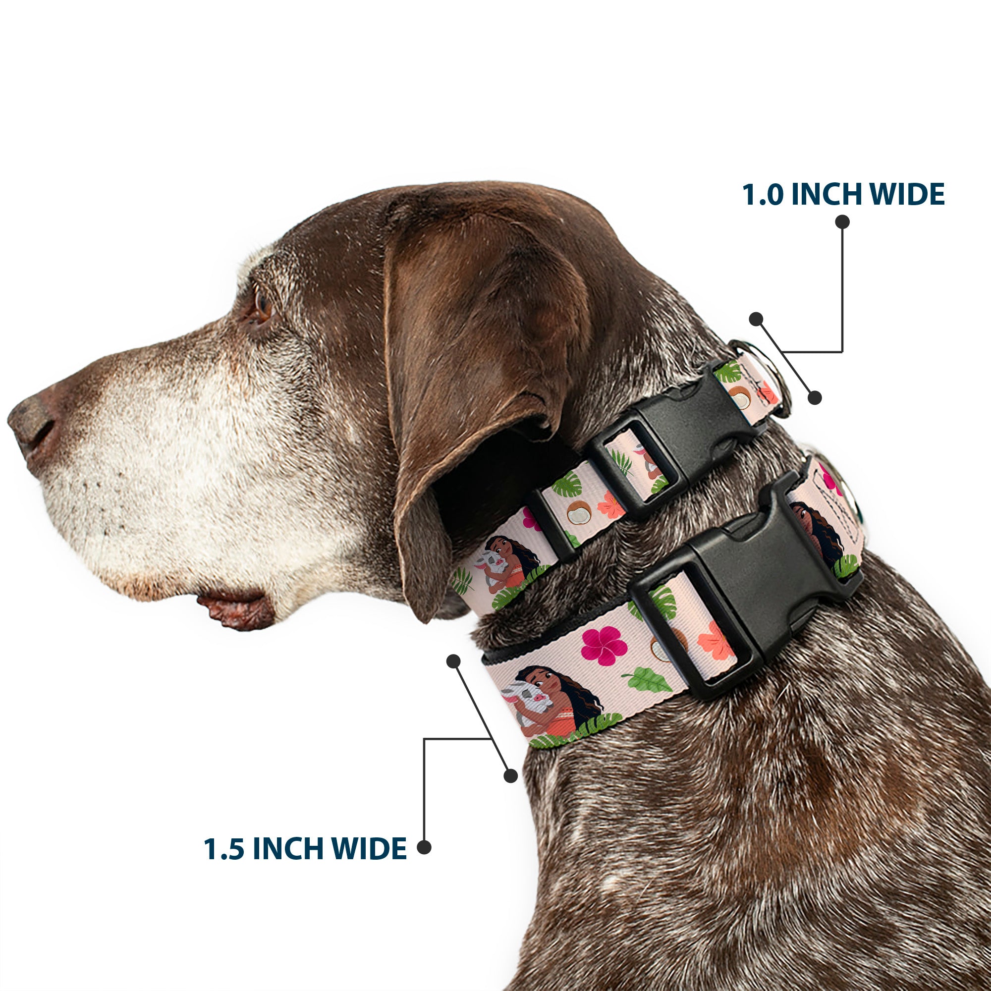 Plastic Clip Collar - Moana Hugging Pua Pose and Tropical Flora Beige Plastic Clip Collars Disney