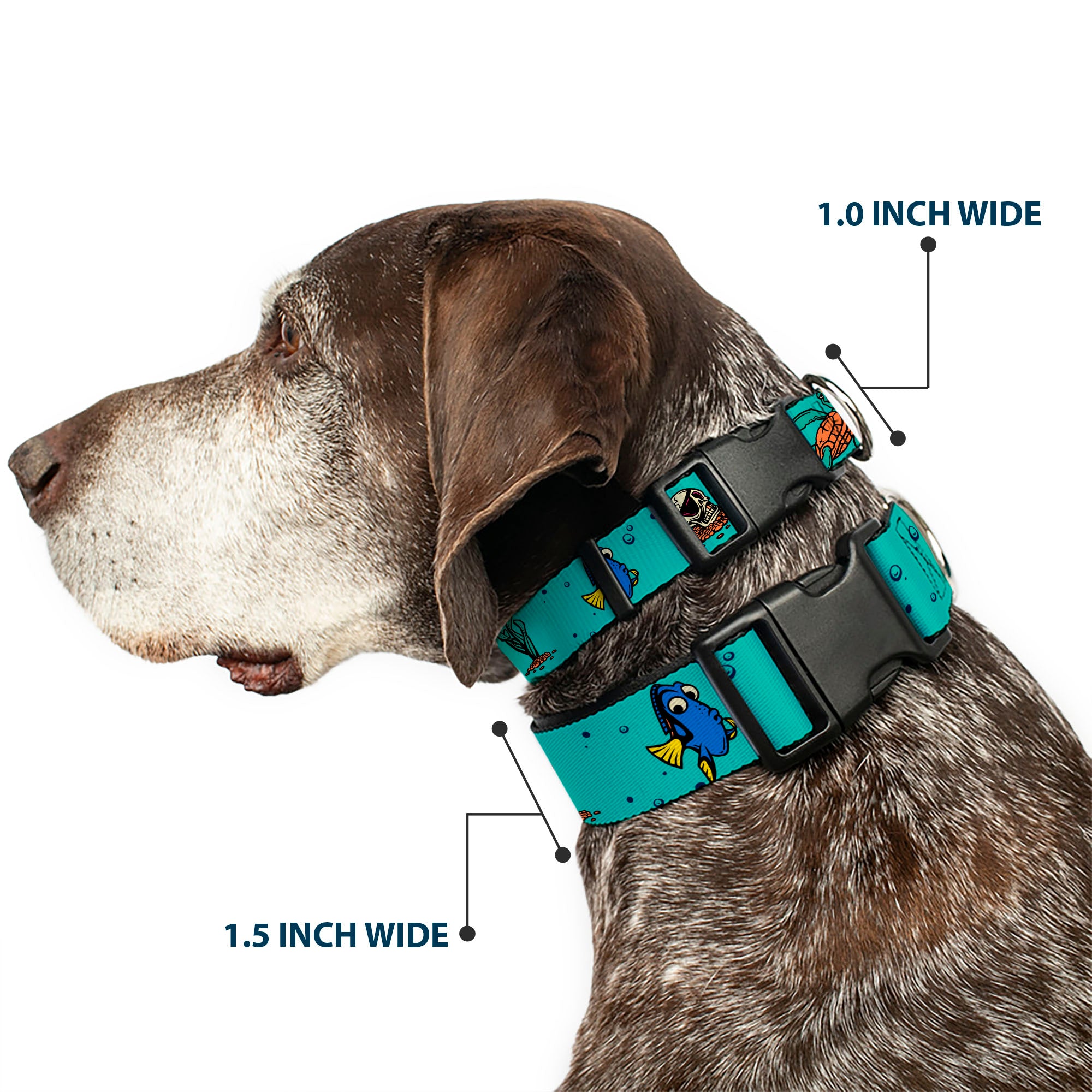 Plastic Clip Collar - Finding Nemo Fish and Under Sea Treasures Aqua Blue Plastic Clip Collars Disney
