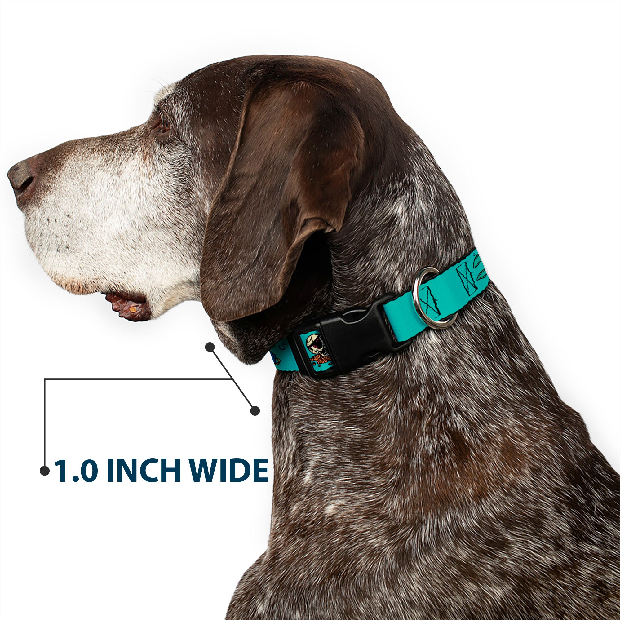 Plastic Clip Collar - Finding Nemo Fish and Under Sea Treasures Aqua Blue Plastic Clip Collars Disney