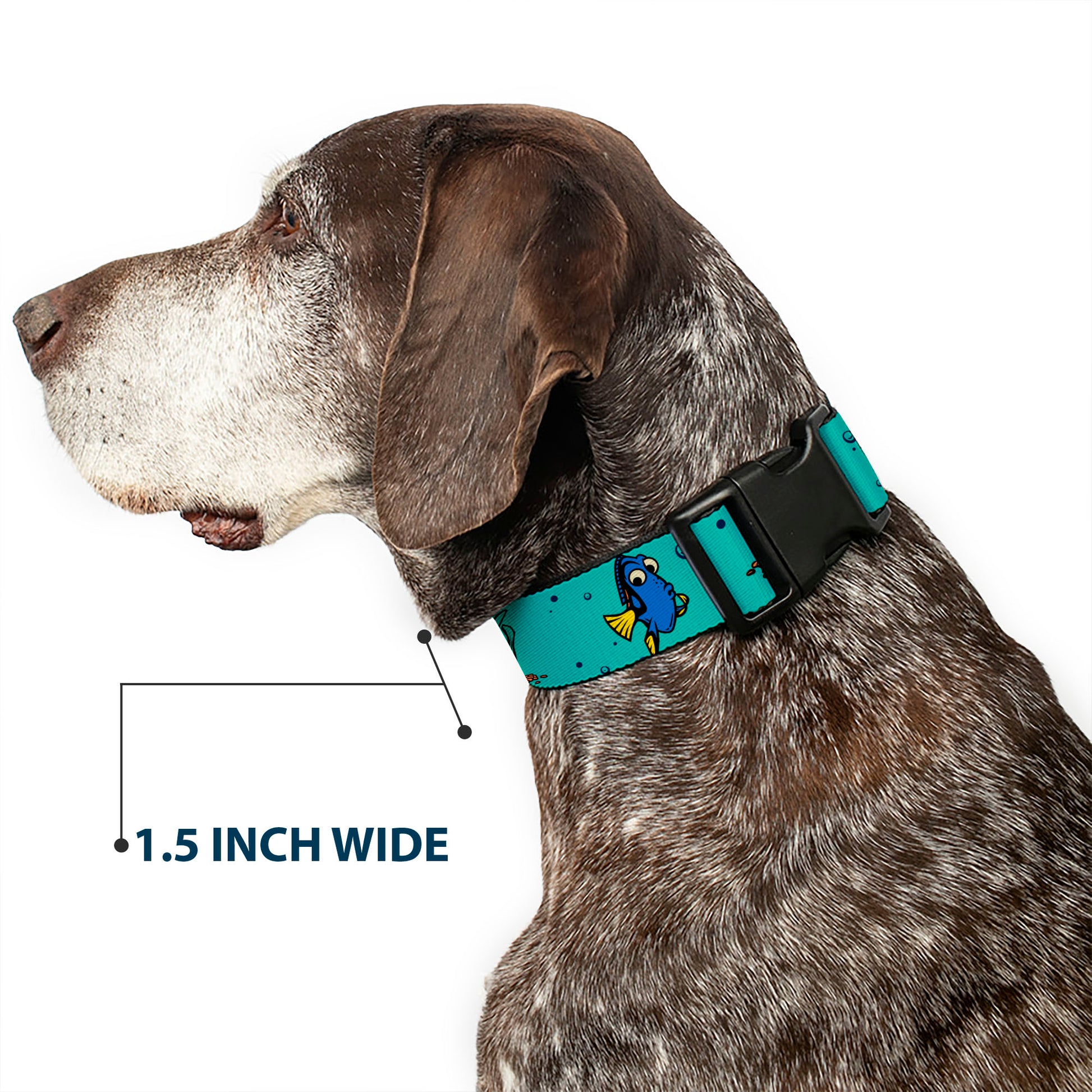 Plastic Clip Collar - Finding Nemo Fish and Under Sea Treasures Aqua Blue Plastic Clip Collars Disney