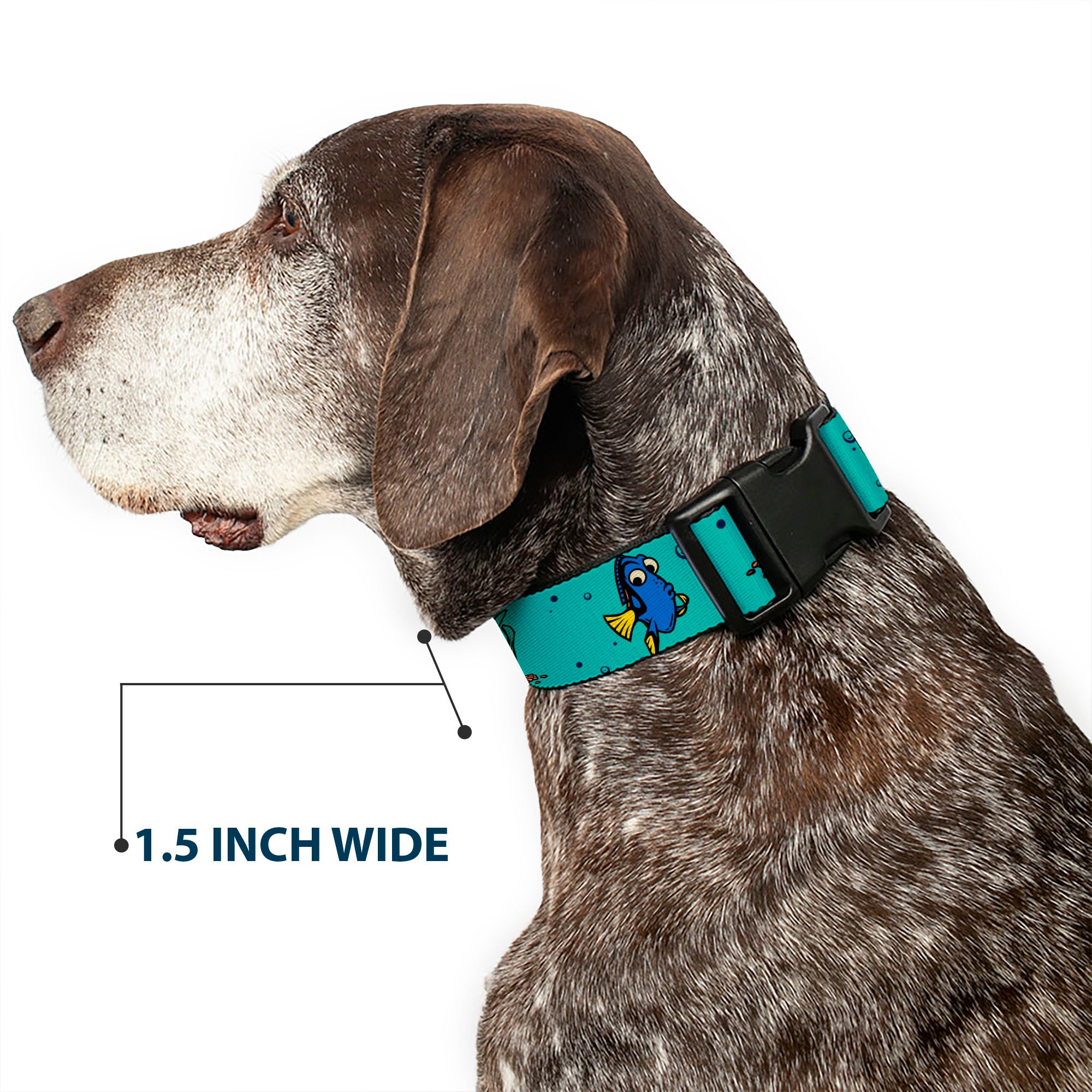 Plastic Clip Collar - Finding Nemo Fish and Under Sea Treasures Aqua Blue Plastic Clip Collars Disney