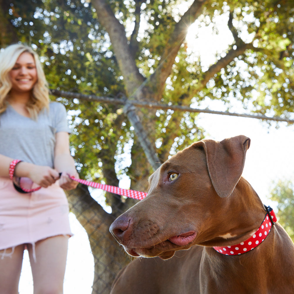 Plastic Clip Collar - Minnie Mouse Polka Dots Red/White Plastic Clip Collars Disney
