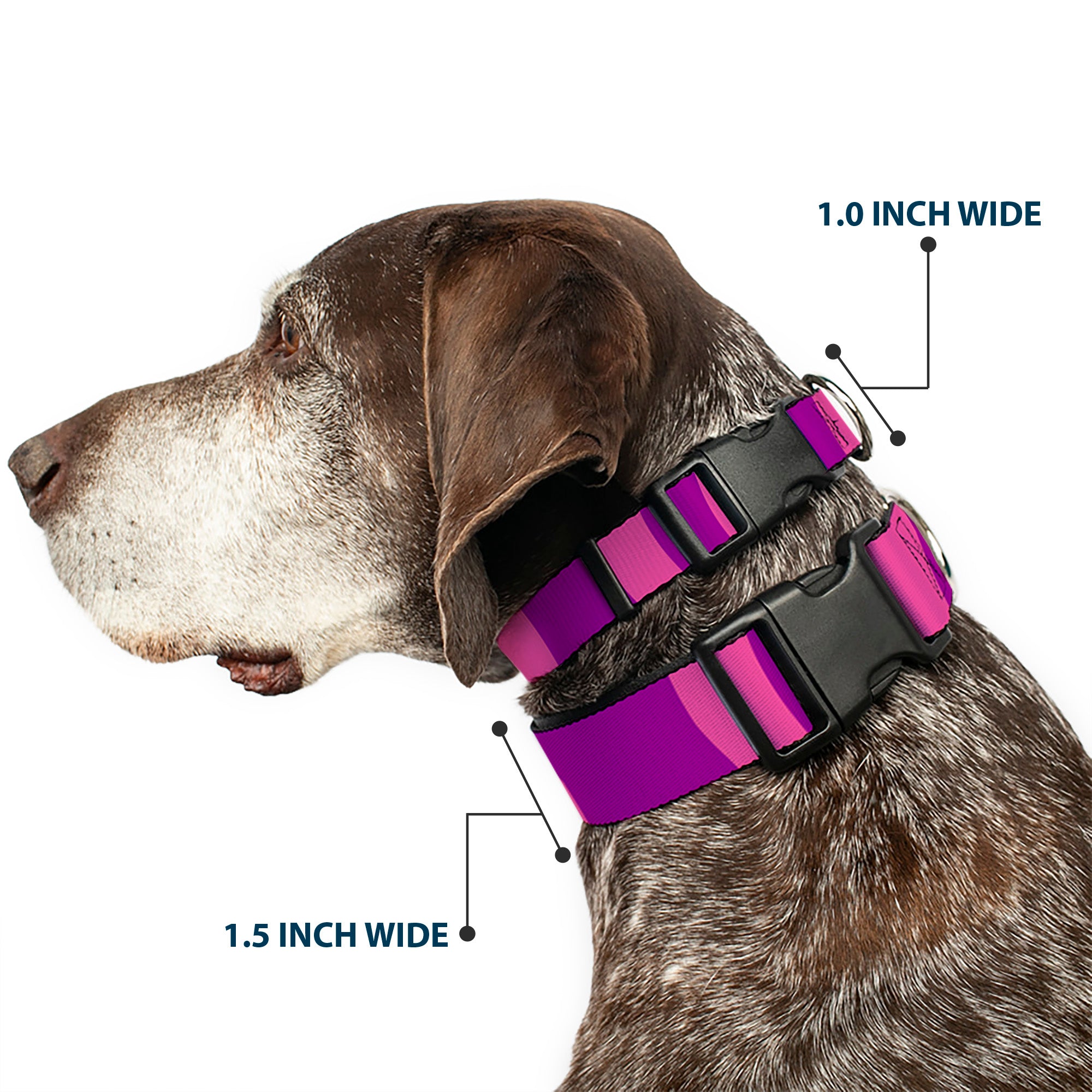 Plastic Clip Collar - Cheshire Cat Stripe Pink/Purple Plastic Clip Collars Disney