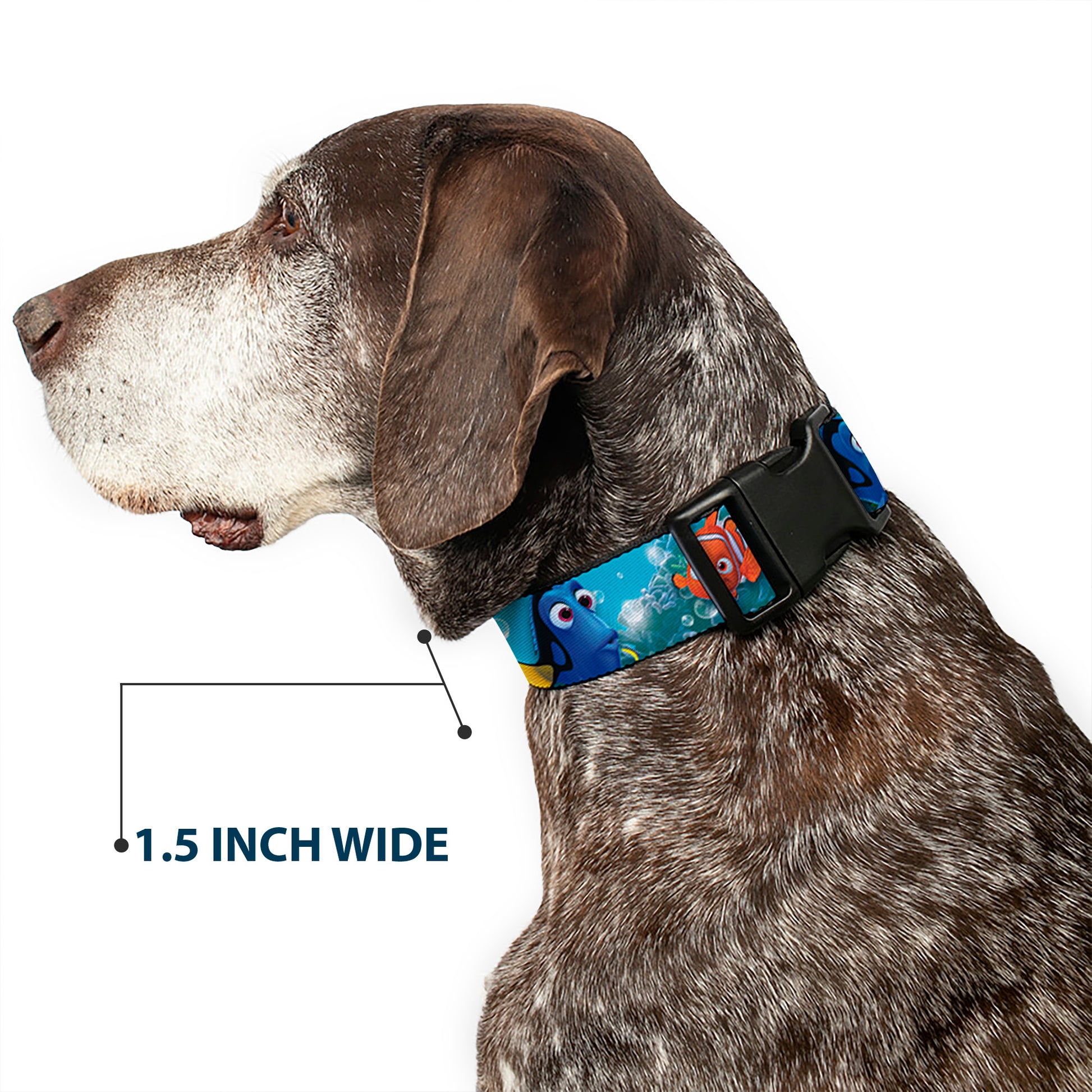 Plastic Clip Collar - Nemo & Dory Poses Plastic Clip Collars Disney