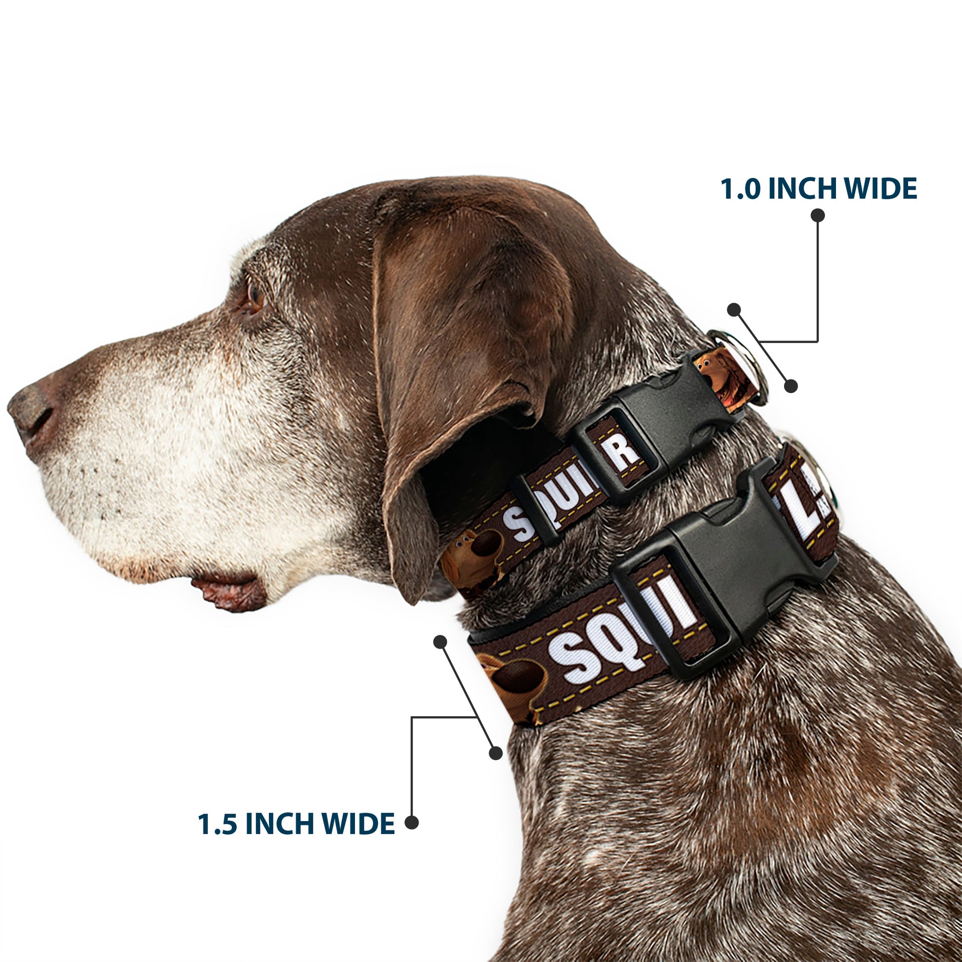 Plastic Clip Collar - Dug 3-Poses/SQUIRREL! Brown/Yellow/White Plastic Clip Collars Disney