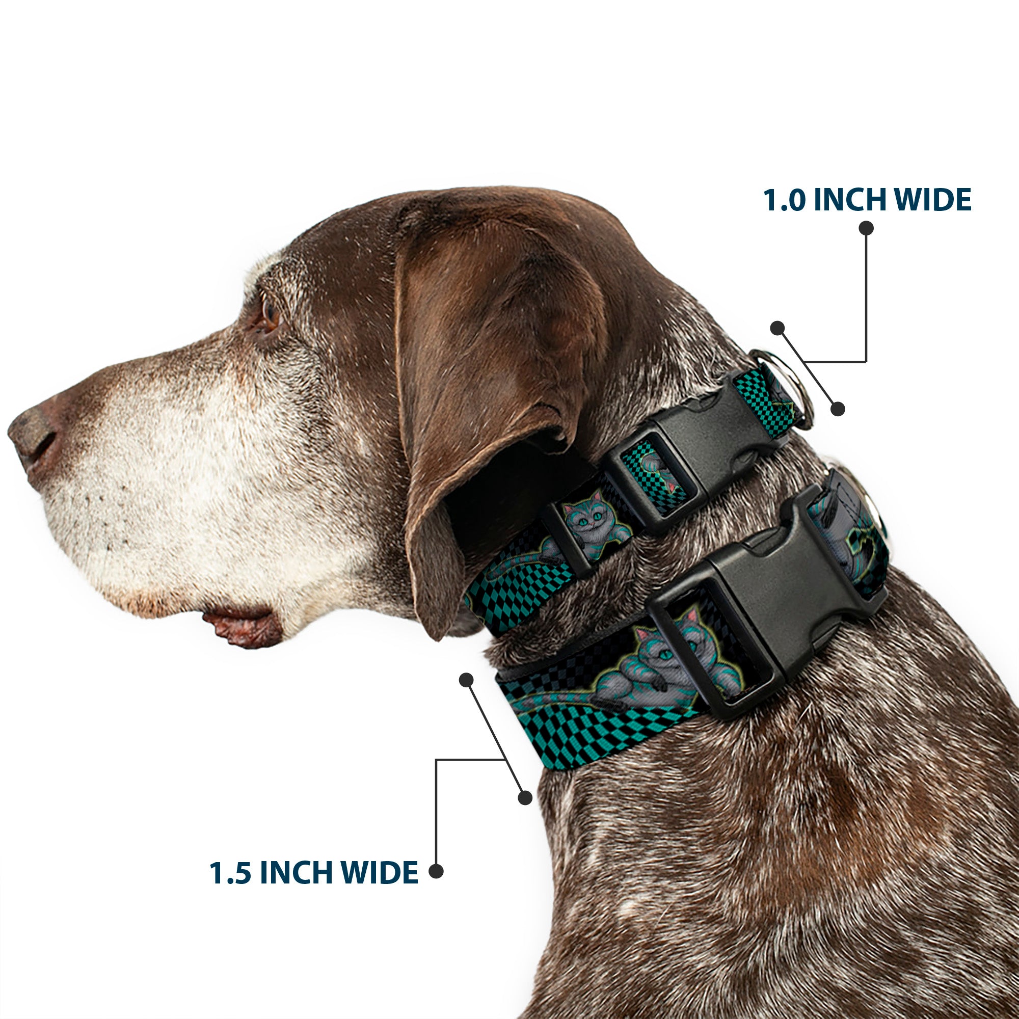 Plastic Clip Collar - Cheshire Cat 4-Poses Checkers Teal/Black Plastic Clip Collars Disney