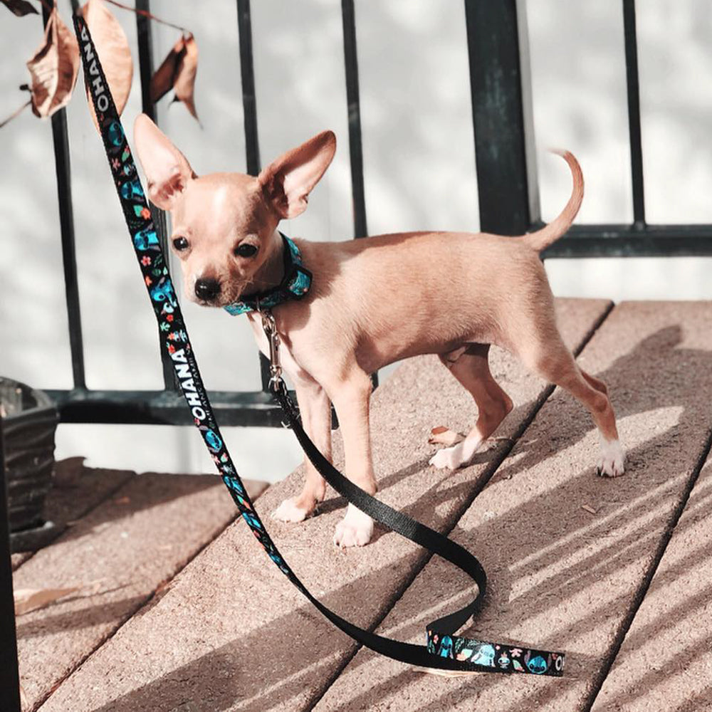 Plastic Clip Collar - OHANA MEANS FAMILY/Stitch & Scrump Poses/Tropical Flora Black/White/Multi Color Plastic Clip Collars Disney