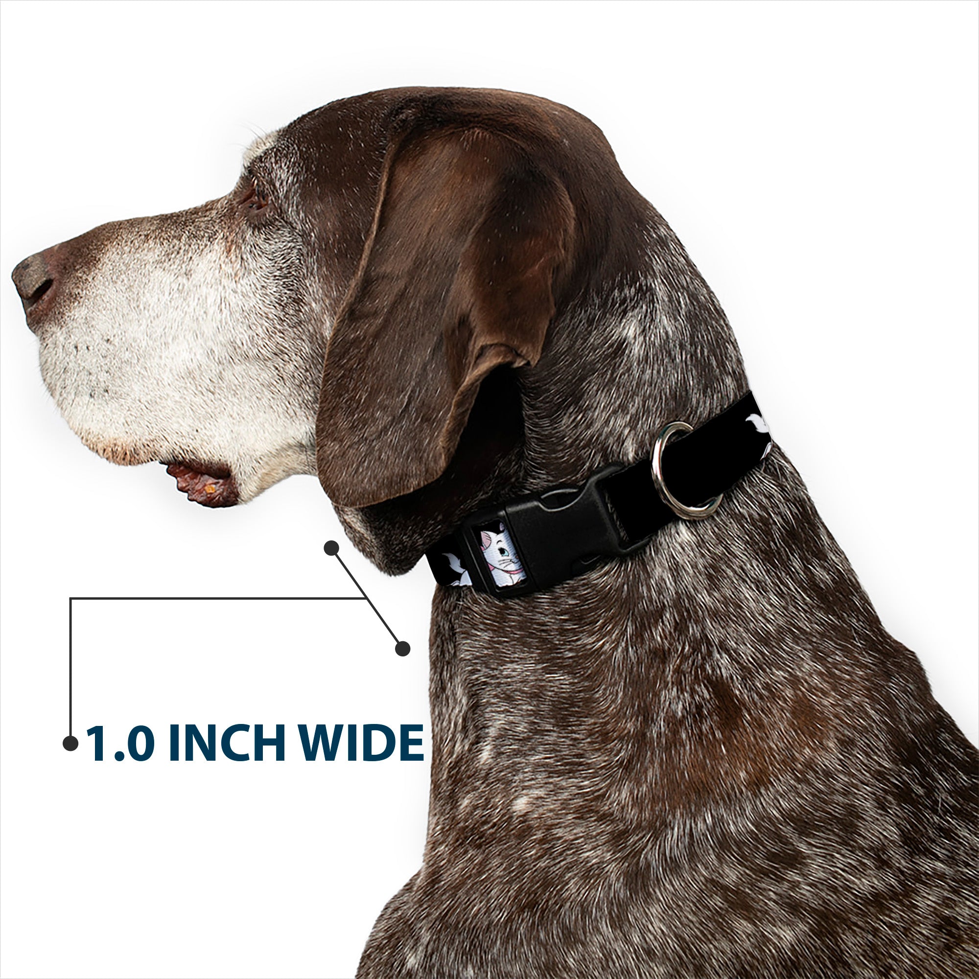 Plastic Clip Collar - Aristocats Marie 3-Poses BECAUSE I'M A LADY THAT'S WHY Black/White/Pink Plastic Clip Collars Disney