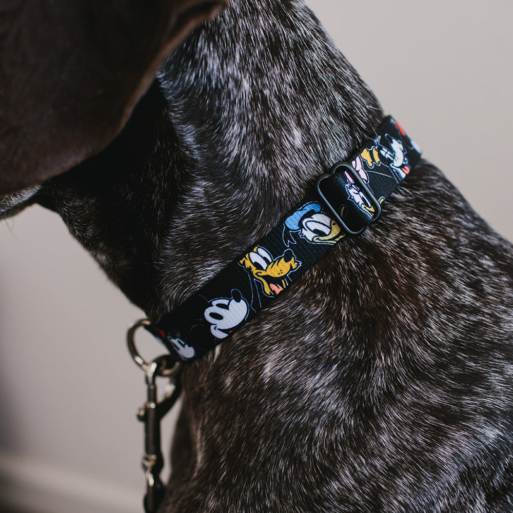 Plastic Clip Collar - Disney The Sensational Six Smiling Faces Black Plastic Clip Collars Disney