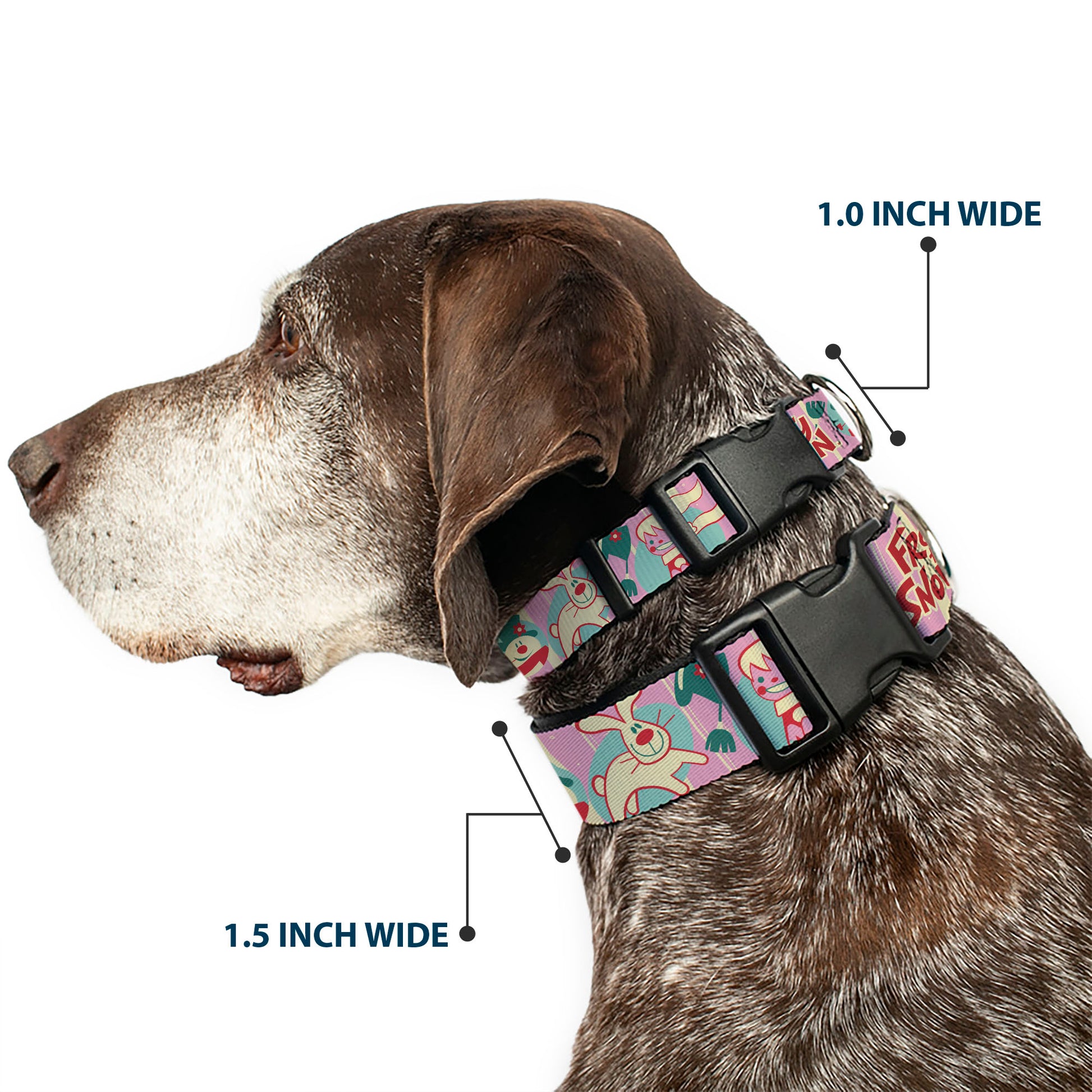 Plastic Clip Collar - FROSTY THE SNOWMAN Pose and Title Logo with Karen and Hocus Pocus Pinks/Blues Plastic Clip Collars Frosty the Snowman
