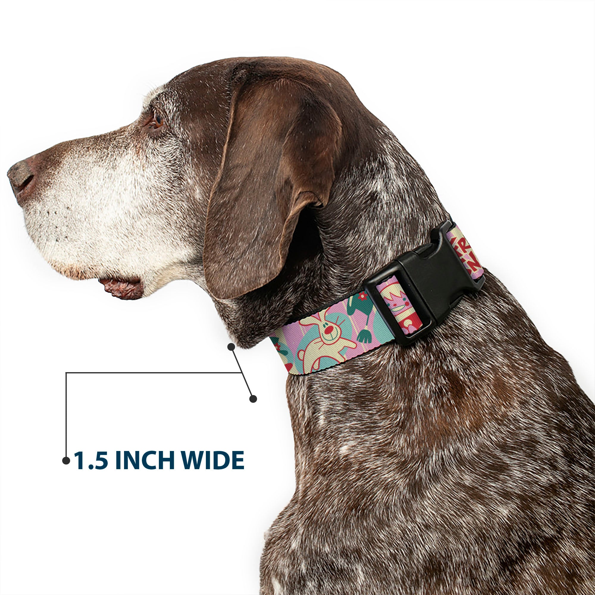 Plastic Clip Collar - FROSTY THE SNOWMAN Pose and Title Logo with Karen and Hocus Pocus Pinks/Blues Plastic Clip Collars Frosty the Snowman