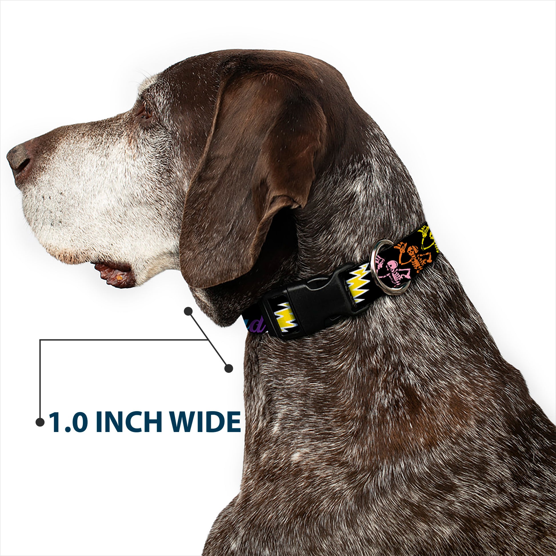 Plastic Clip Collar - Grateful Dead Script w/Bears & Skeletons Black/Multi Color Plastic Clip Collars Grateful Dead