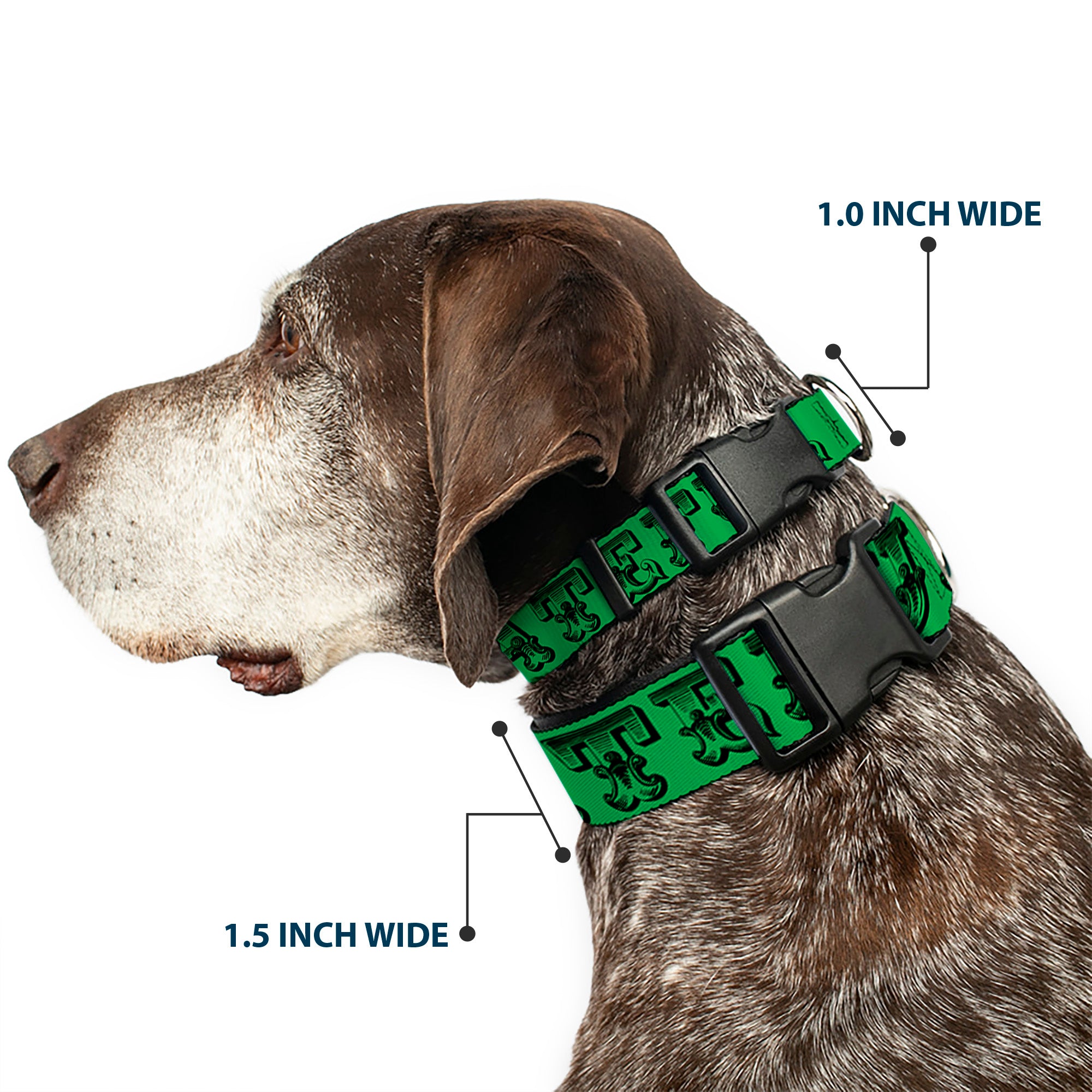 Plastic Clip Collar - Grateful Dead Text w/Skull & Roses Green Plastic Clip Collars Grateful Dead