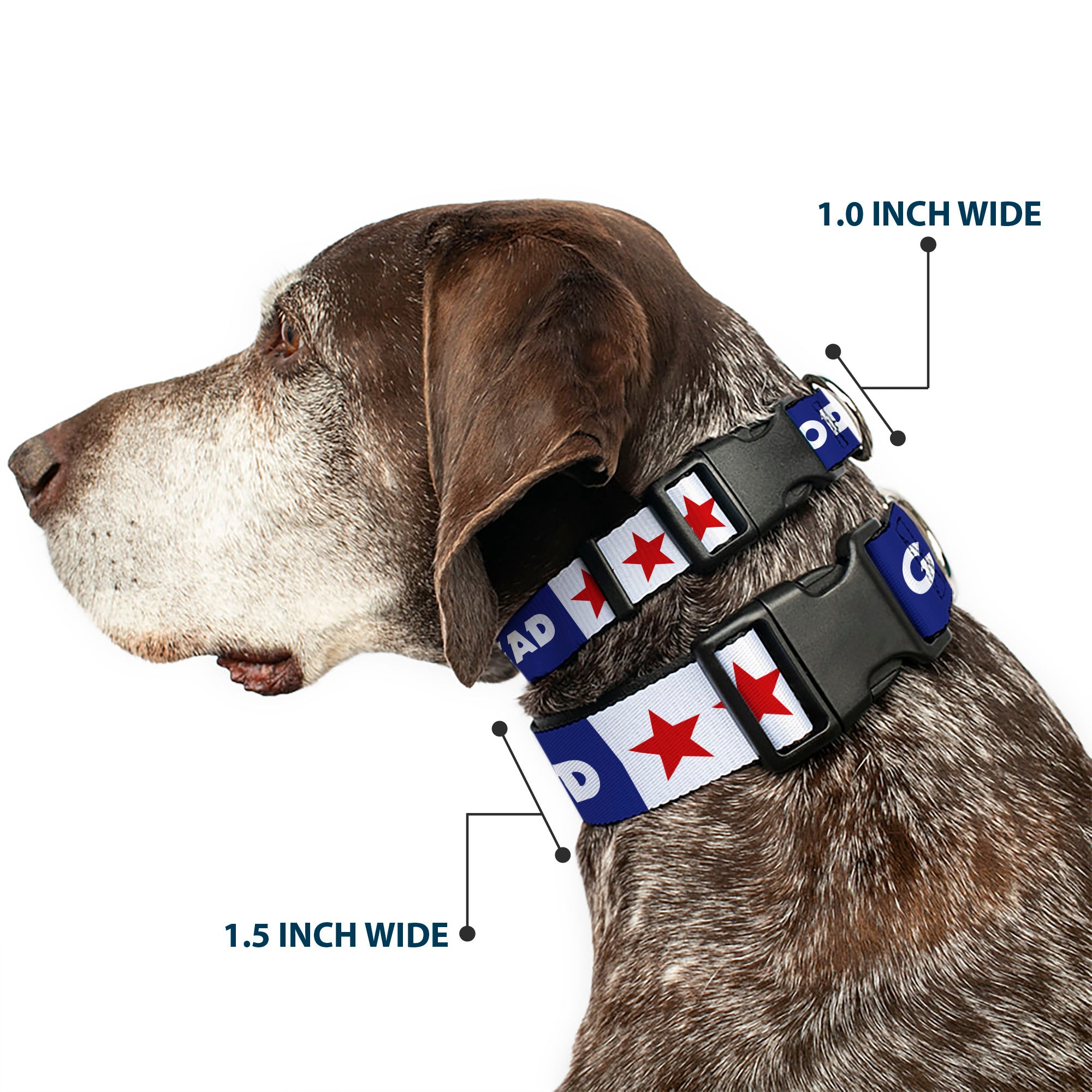 Plastic Clip Collar - GOOD OL' GRATEFUL DEAD Text and Stars Blue/White/Red Plastic Clip Collars Grateful Dead