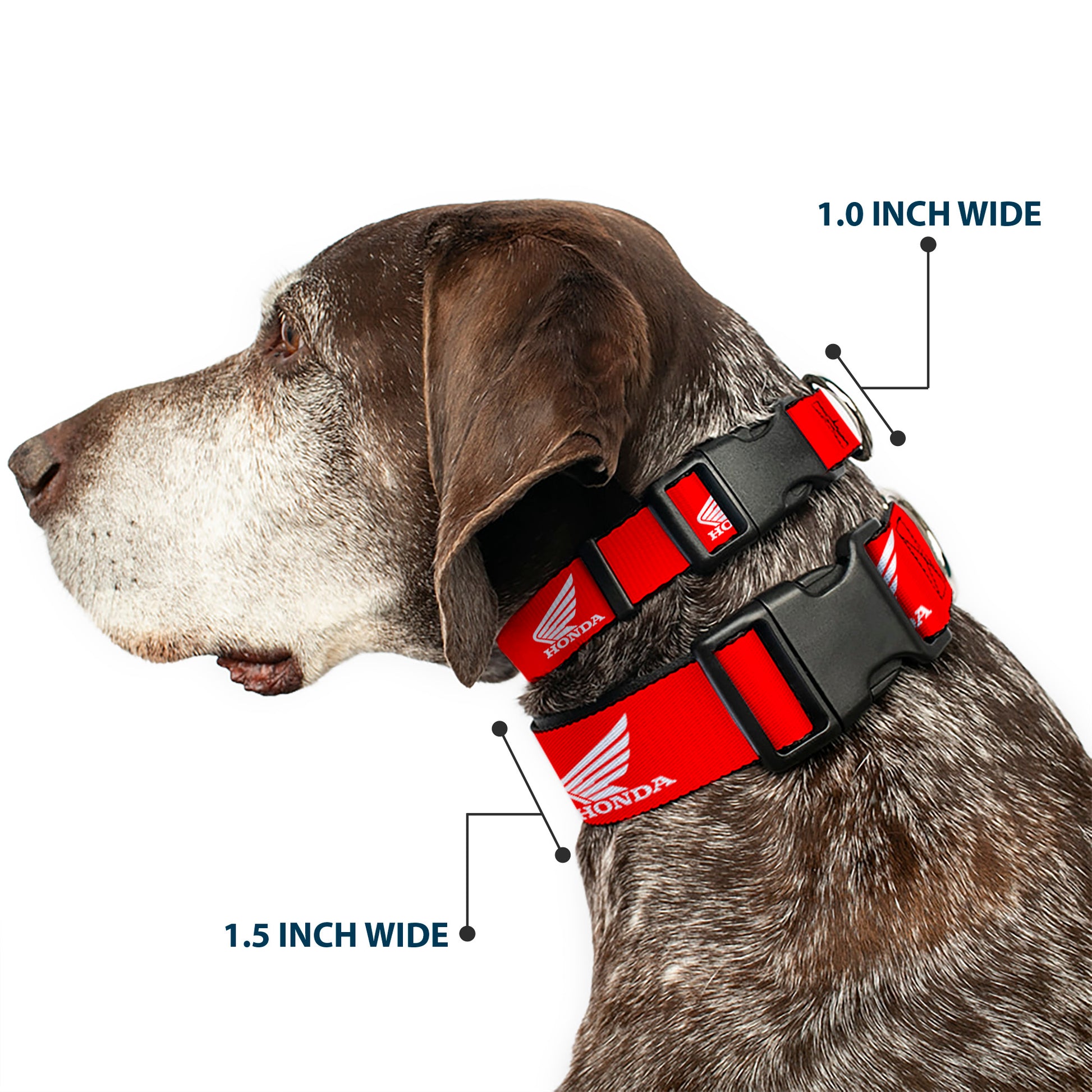 Plastic Clip Collar - HONDA Motorcycle Logo Red/White Plastic Clip Collars Honda Motorsports