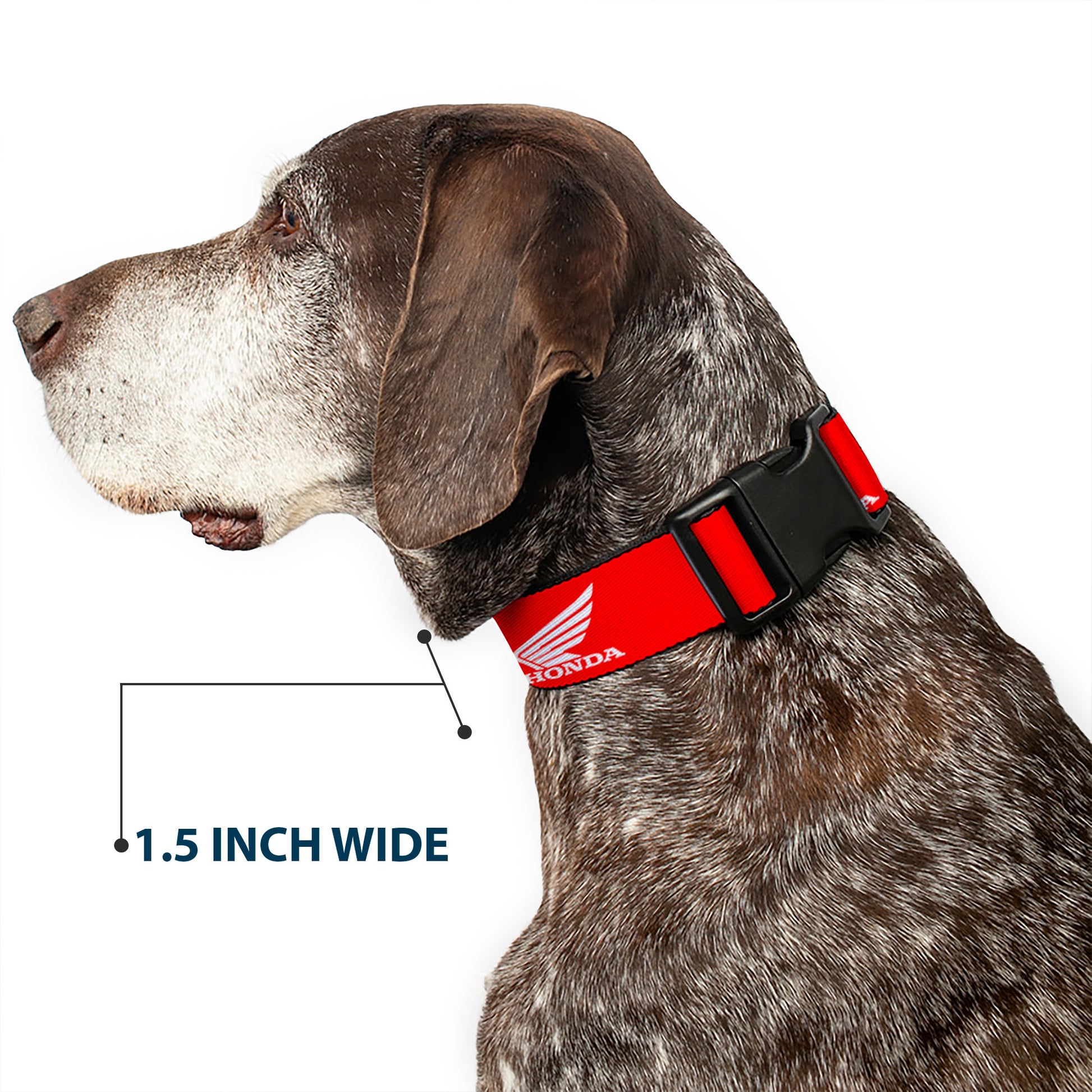 Plastic Clip Collar - HONDA Motorcycle Logo Red/White Plastic Clip Collars Honda Motorsports