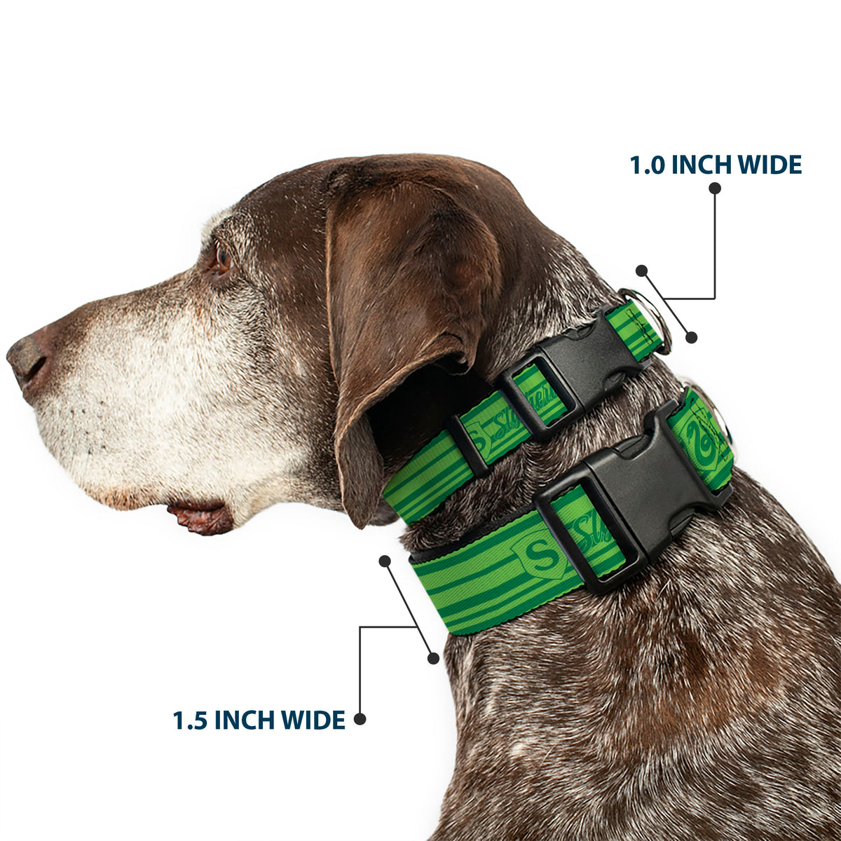 Plastic Clip Collar - Harry Potter Slytherin House Champion Icons Stripe Greens Dog Collars Plastic Clip Side Release Harry Potter