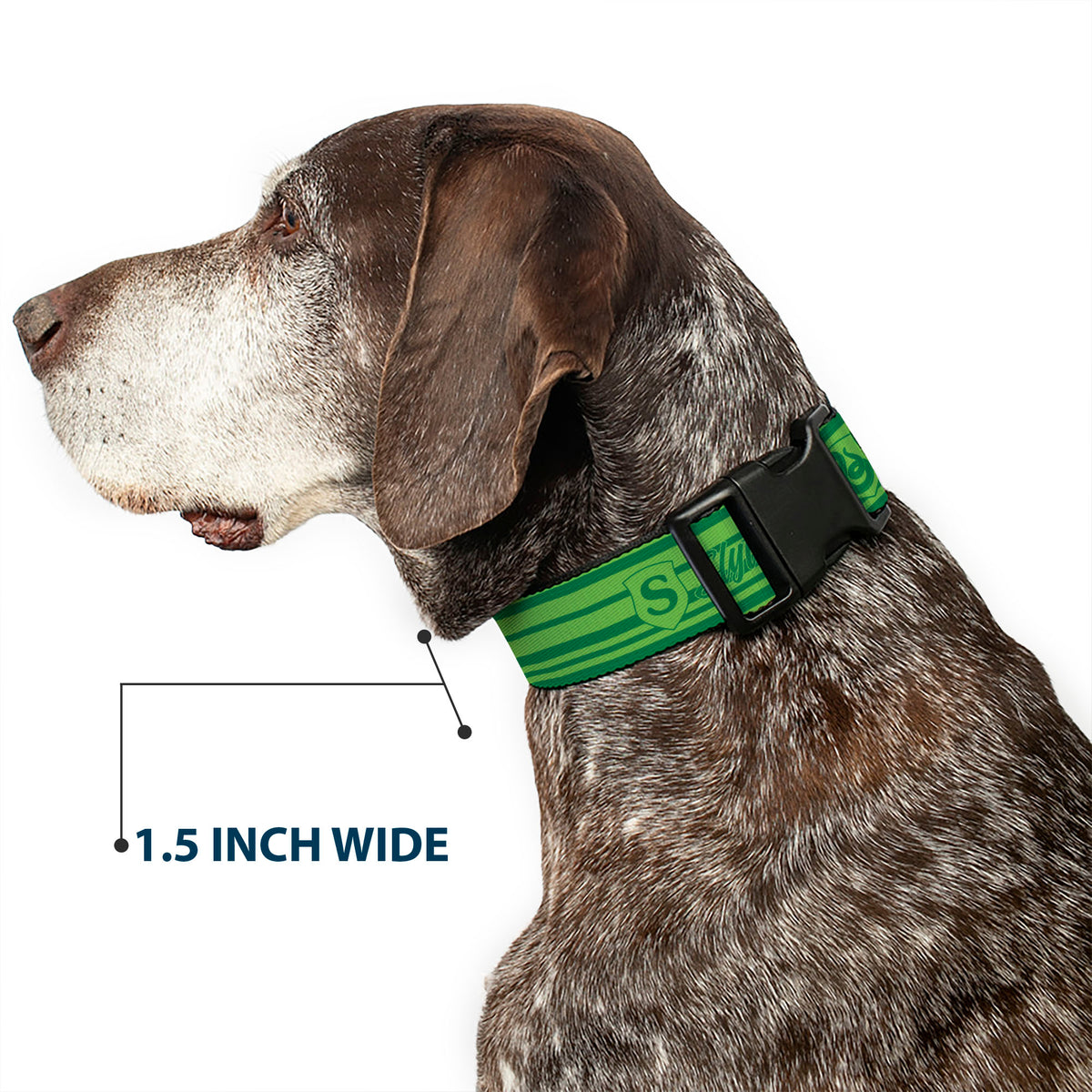 Plastic Clip Collar - Harry Potter Slytherin House Champion Icons Stripe Greens Dog Collars Plastic Clip Side Release Harry Potter