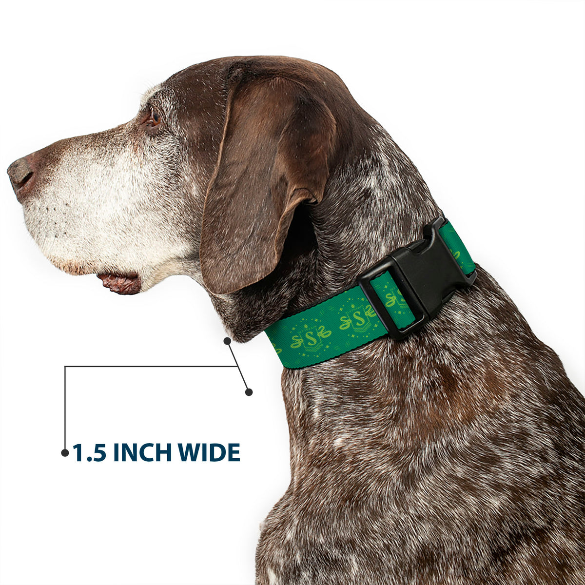 Plastic Clip Collar - Harry Potter Slytherin House Pride Banner Greens Dog Collars Plastic Clip Side Release Harry Potter