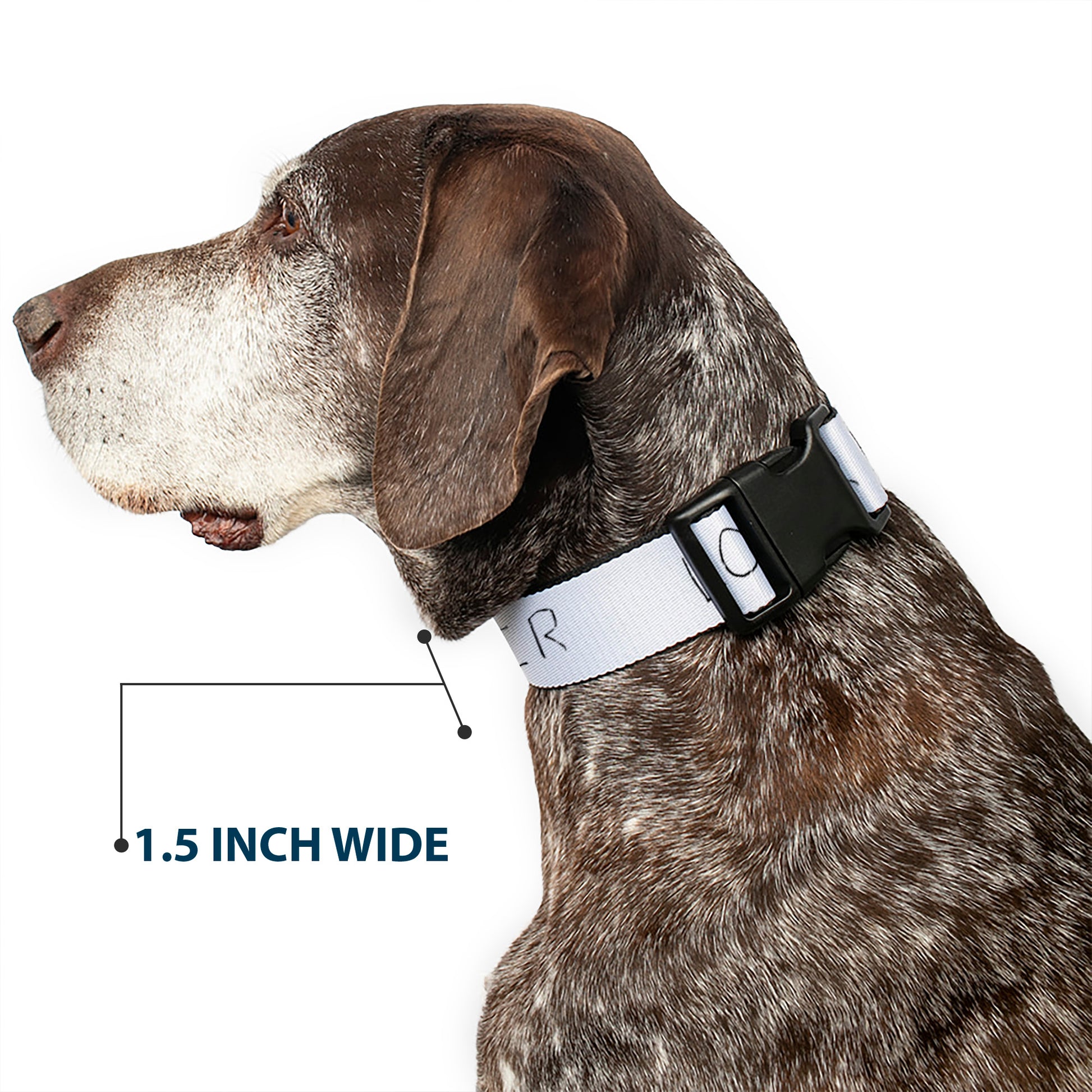 Plastic Clip Collar - It Chapter Two LOSER/LOVER White/Black/Red Plastic Clip Collars IT