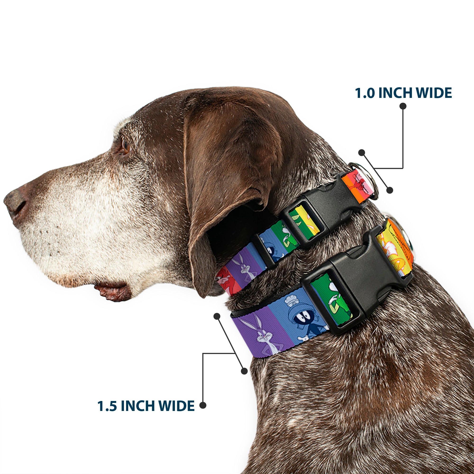 Plastic Clip Collar - Looney Tunes 6-Character Pose Pride Blocks Multi Color Plastic Clip Collars Looney Tunes