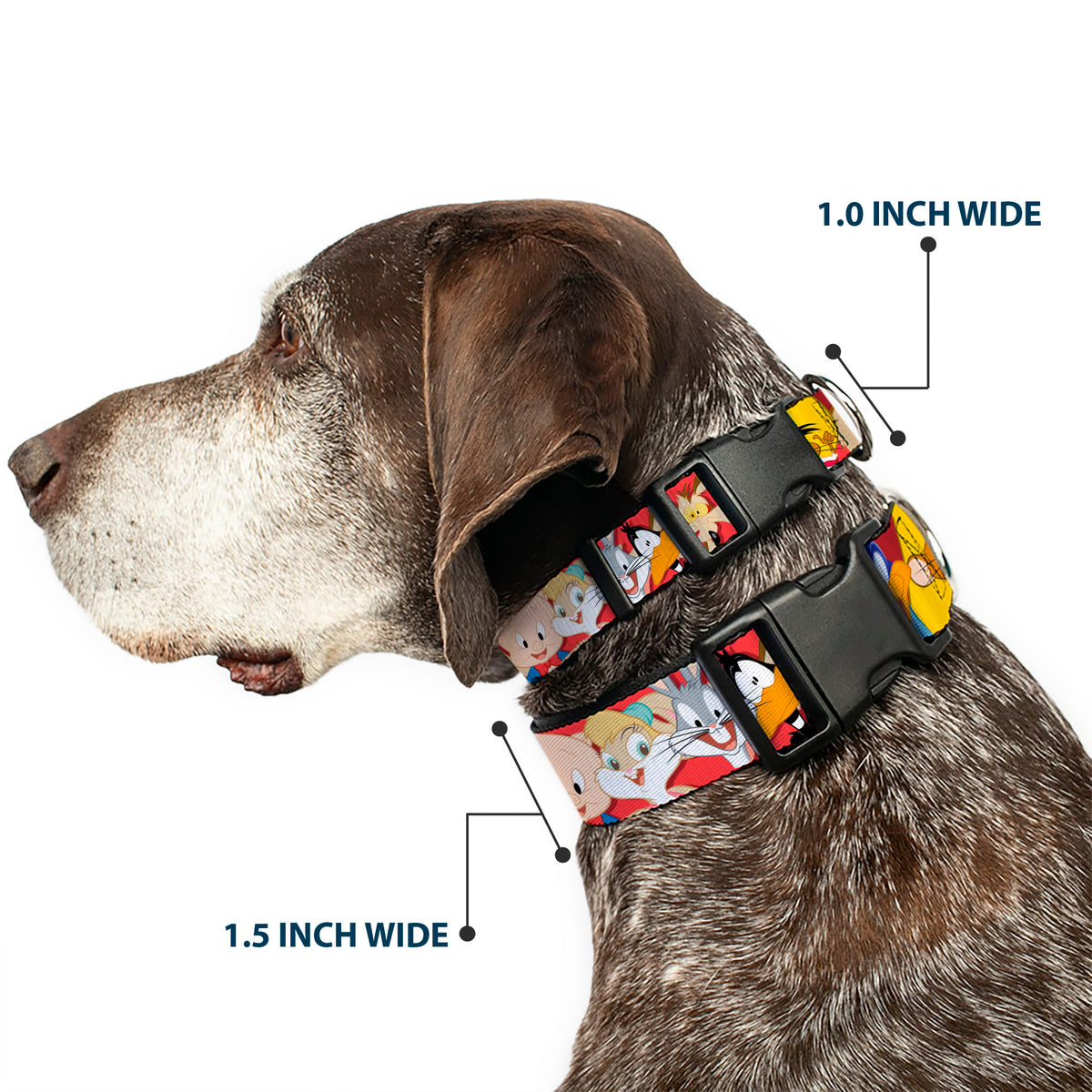 Plastic Clip Collar - Looney Tunes Twelve Character Expressions Red Plastic Clip Collars Looney Tunes