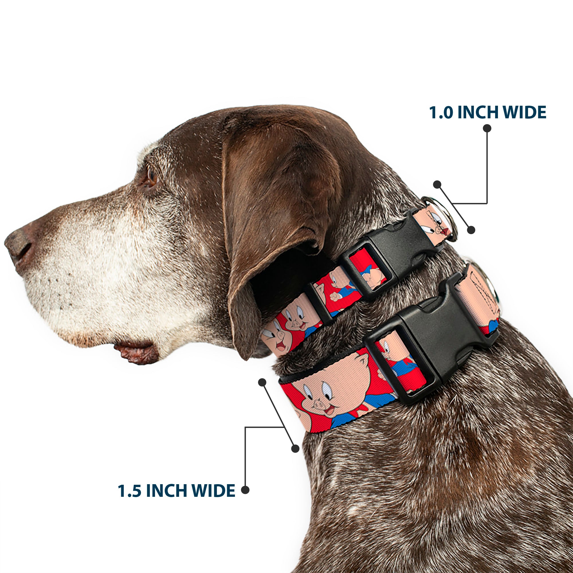 Plastic Clip Collar - Porky Pig Expressions Red Plastic Clip Collars Looney Tunes