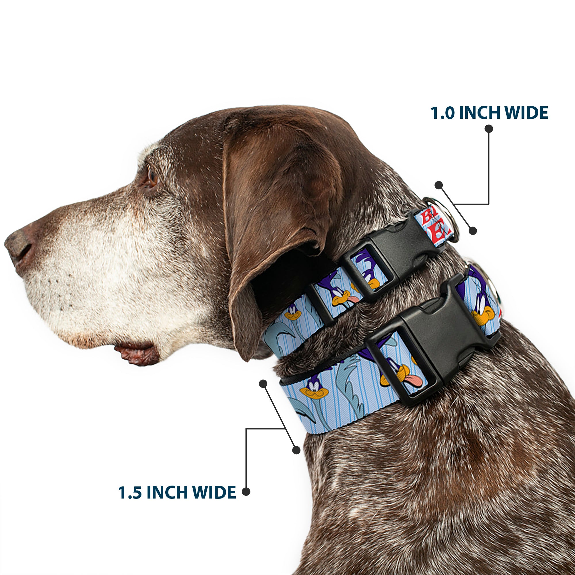 Plastic Clip Collar - MEEP MEEP!! w/Road Runner Poses Baby Blue Plastic Clip Collars Looney Tunes