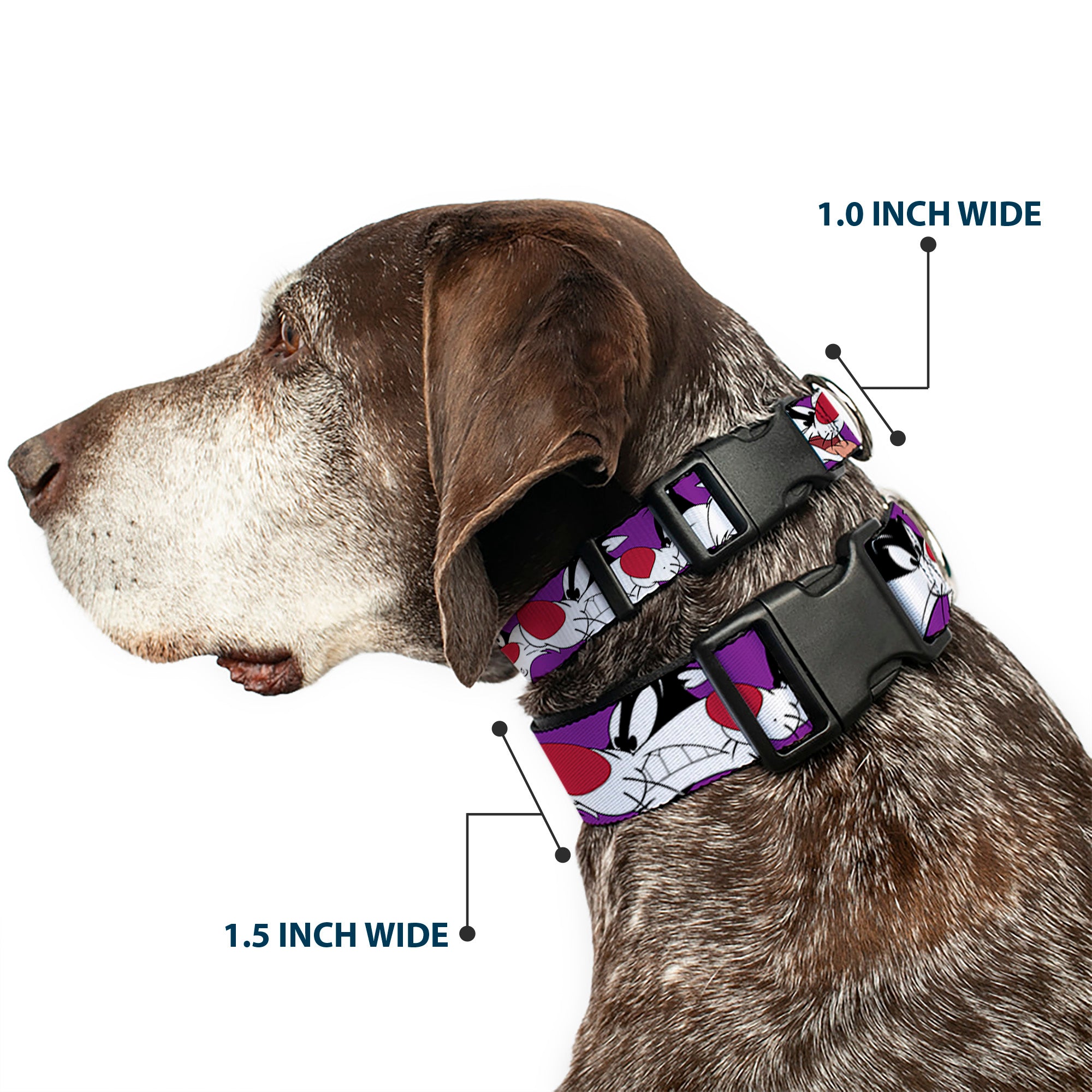 Plastic Clip Collar - Sylvester the Cat Expressions Purple Plastic Clip Collars Looney Tunes