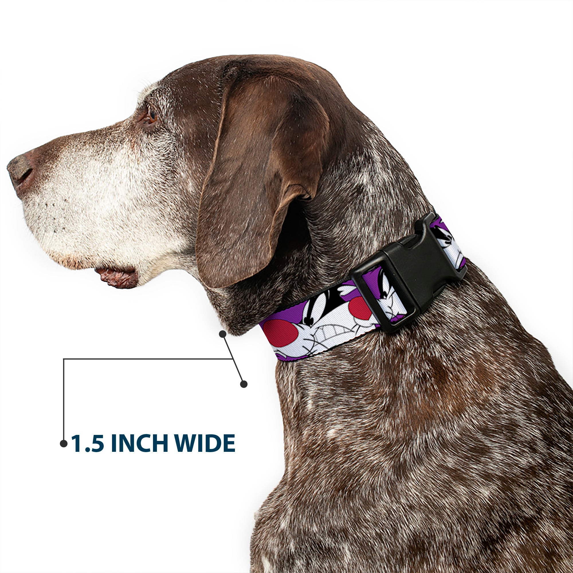 Plastic Clip Collar - Sylvester the Cat Expressions Purple Plastic Clip Collars Looney Tunes
