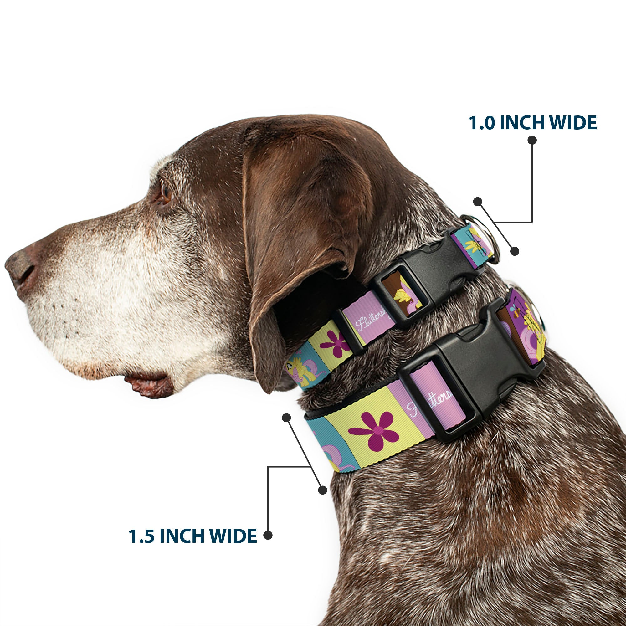 Plastic Clip Collar - FLUTTERSHY Text and Pose Blocks Multi Color