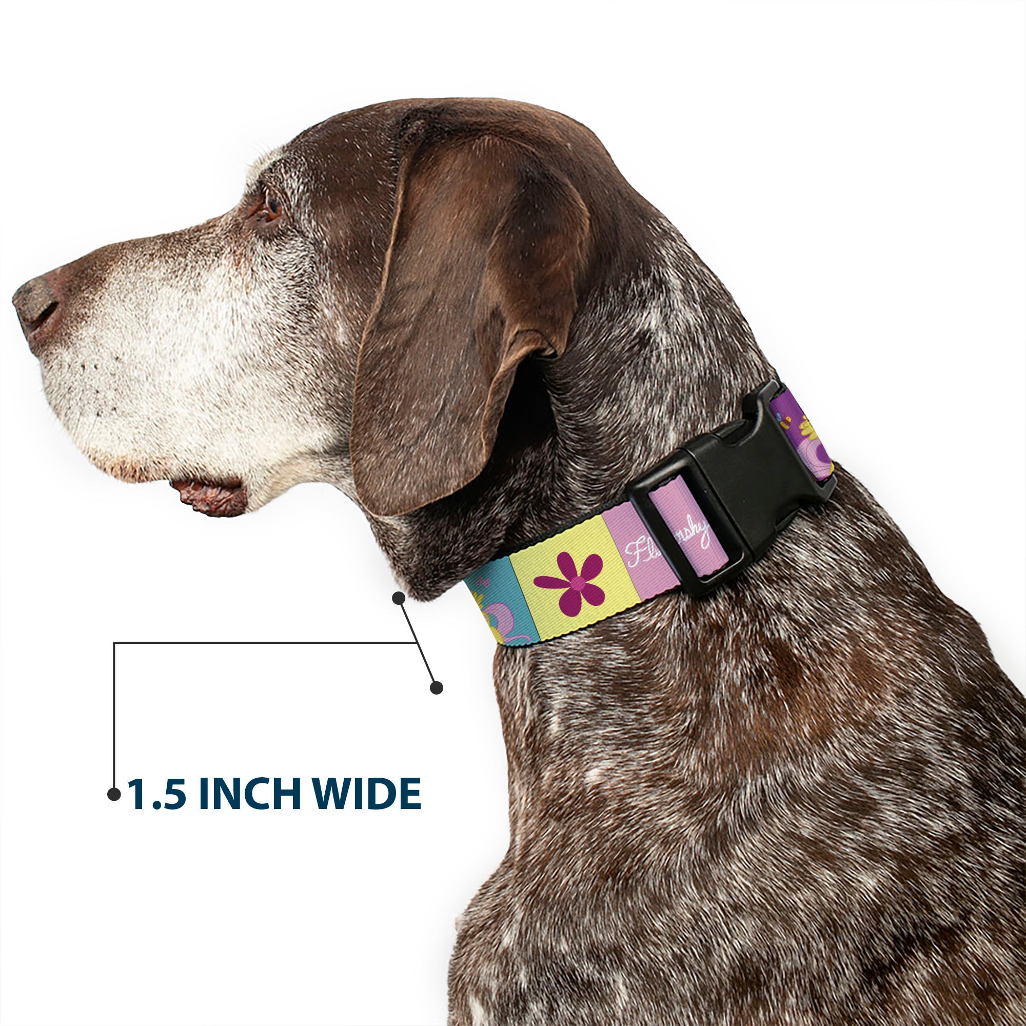 Plastic Clip Collar - FLUTTERSHY Text and Pose Blocks Multi Color